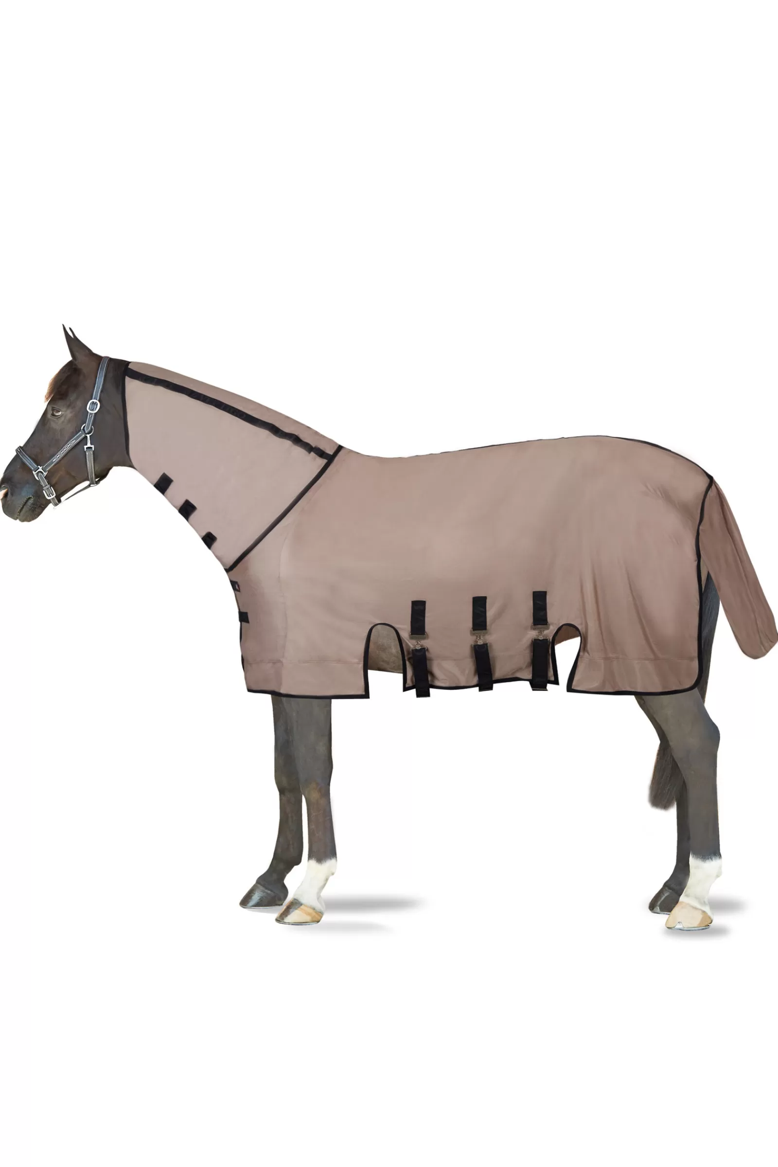 B Vertigo Delux Coperta Antimosche Da Equitazione Con Collo Rimovibile E Protezione Uv>bvertigo Store
