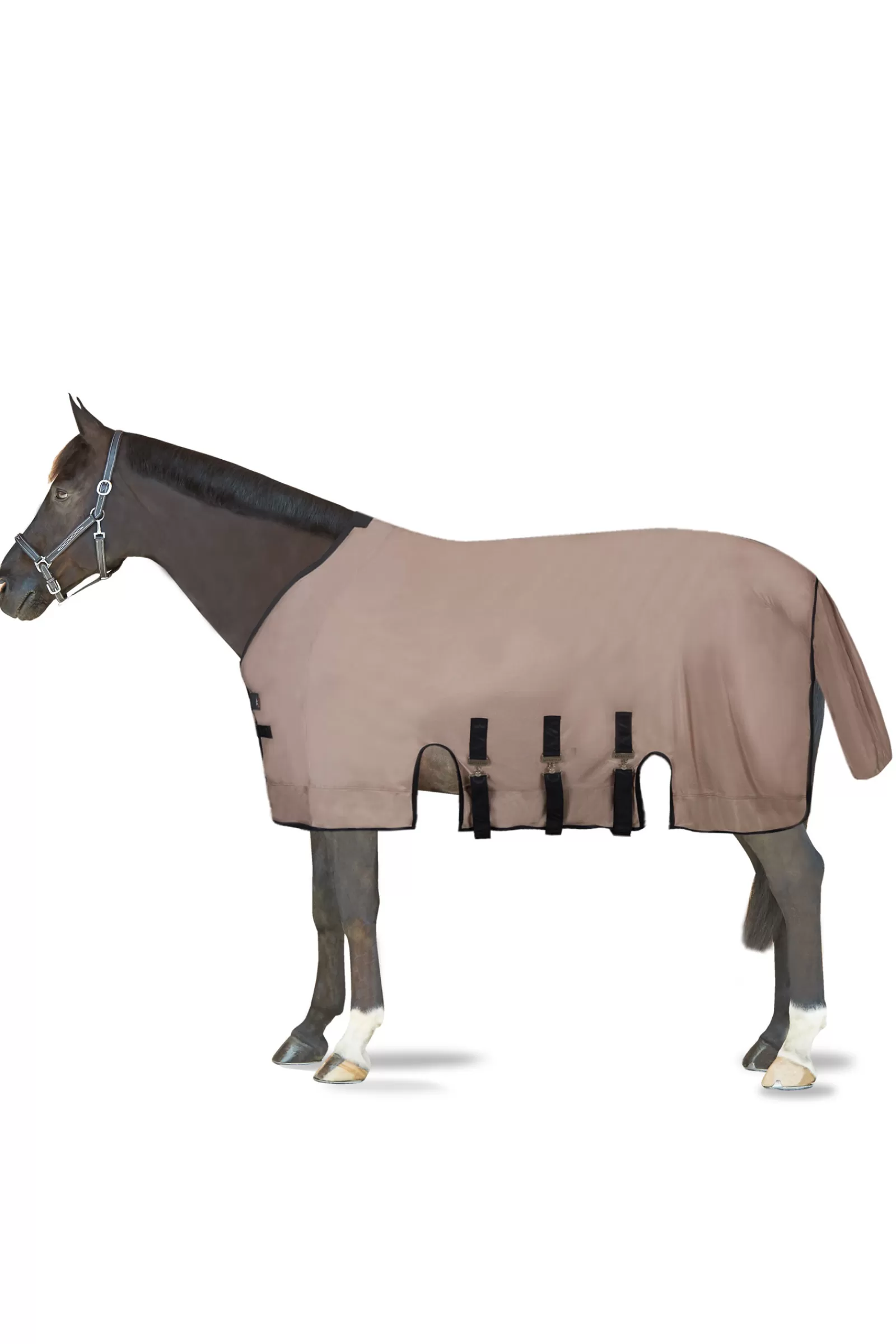 B Vertigo Delux Coperta Antimosche Da Equitazione Con Collo Rimovibile E Protezione Uv>bvertigo Store