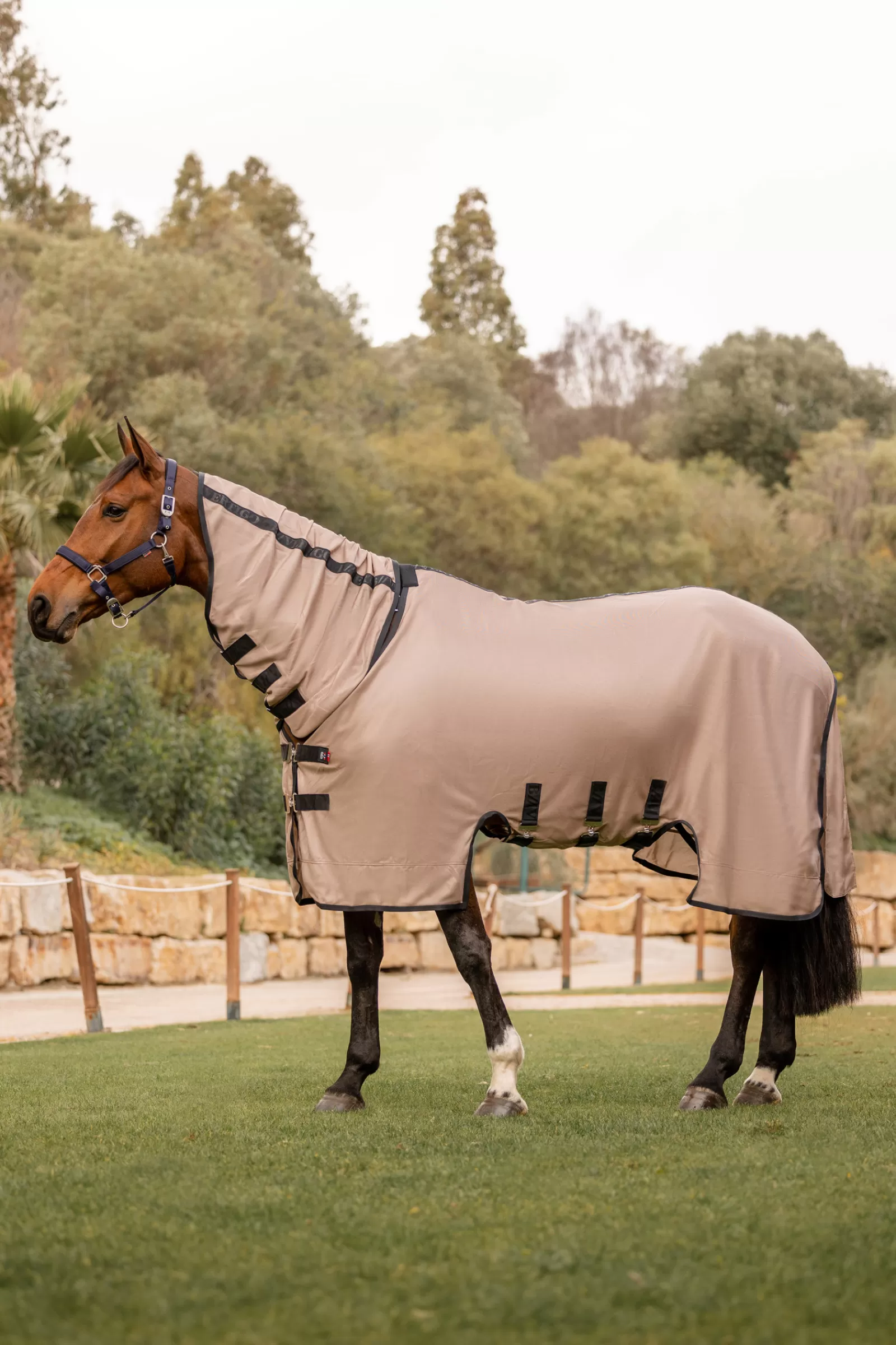 B Vertigo Delux Coperta Antimosche Da Equitazione Con Collo Rimovibile E Protezione Uv>bvertigo Store