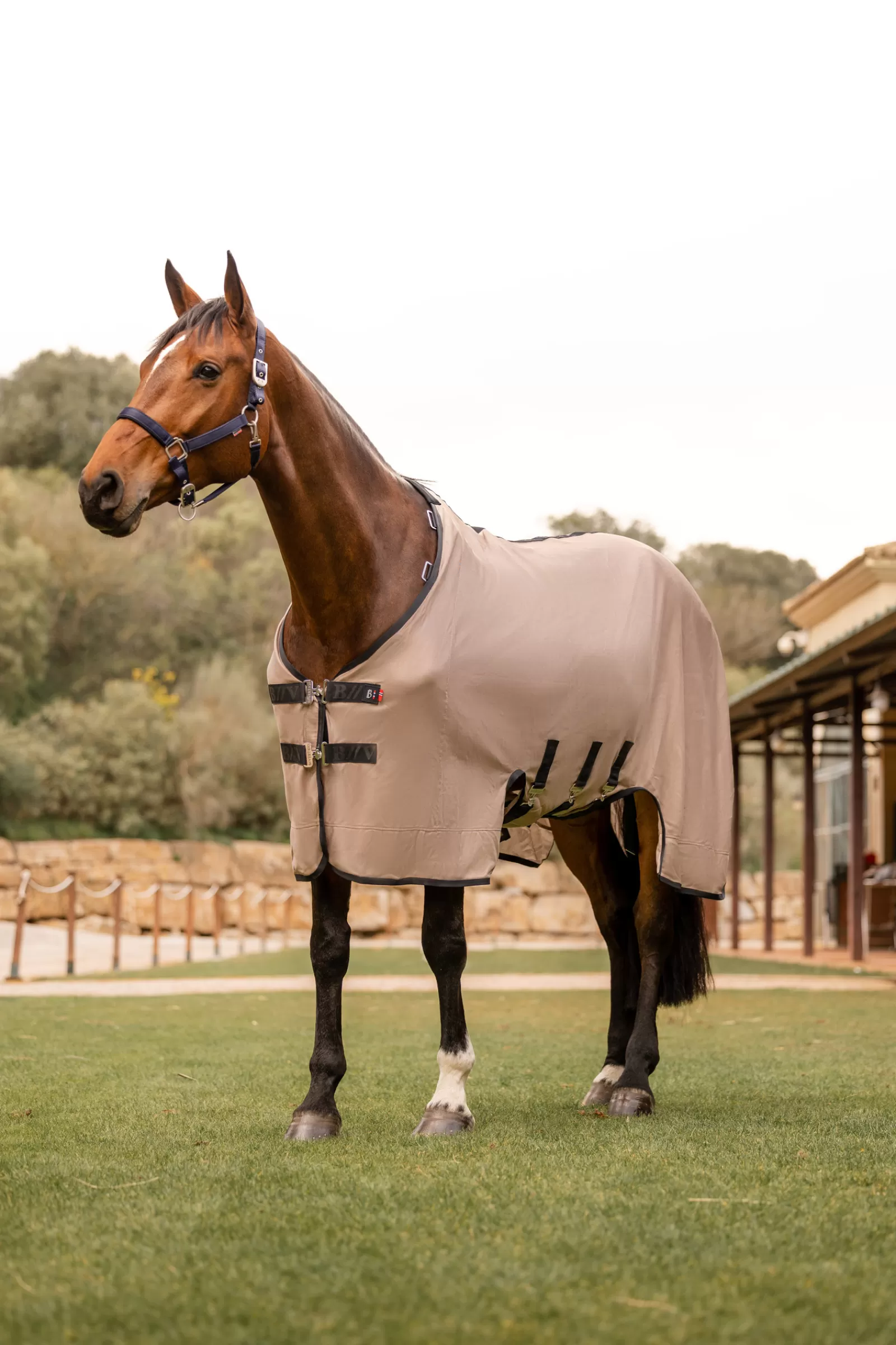 B Vertigo Delux Coperta Antimosche Da Equitazione Con Collo Rimovibile E Protezione Uv>bvertigo Store