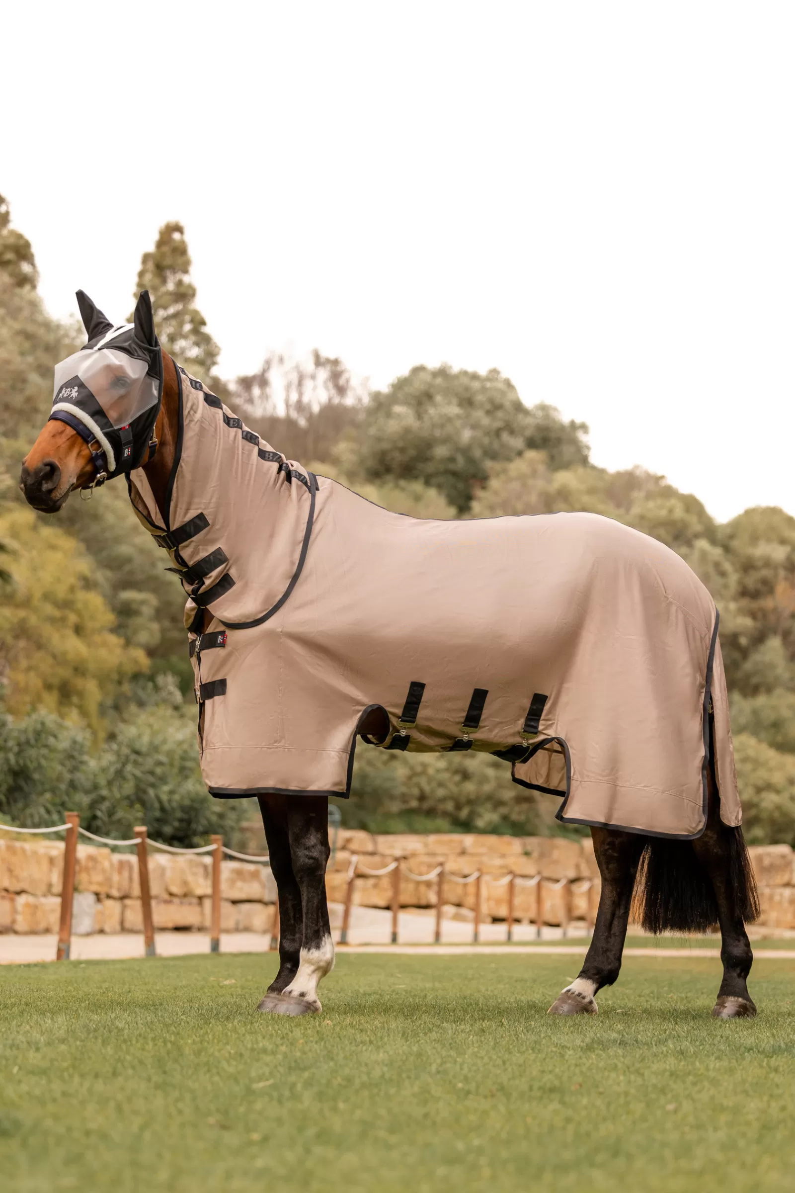 B Vertigo Delux Coperta Antimosche Da Equitazione Con Collo Rimovibile E Protezione Uv>bvertigo Store