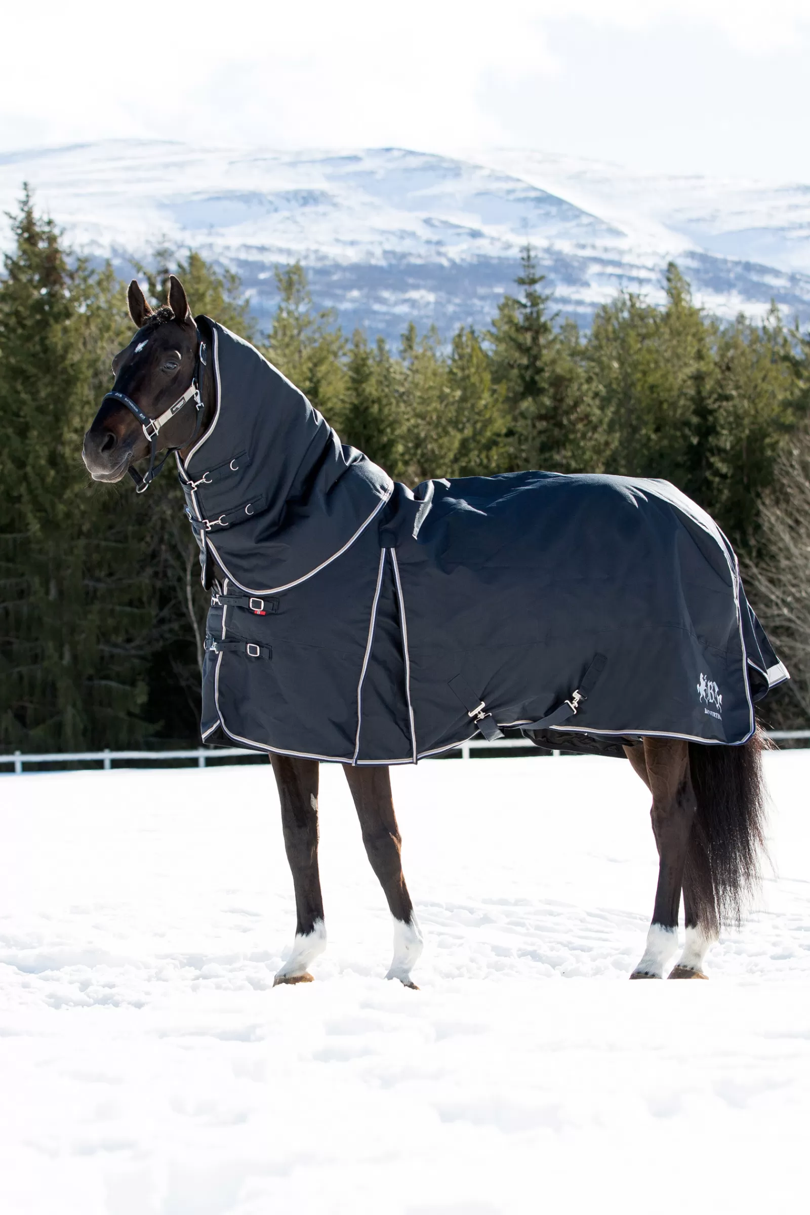 B Vertigo Georgina Coperta Turnout Con Collo , 400 G>bvertigo Store