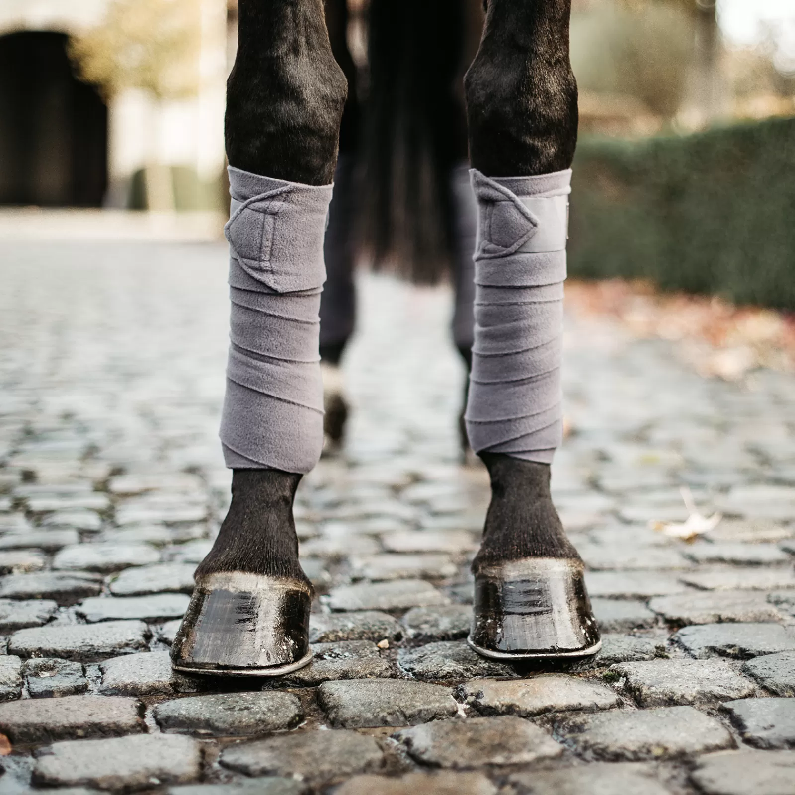 kentucky Fasce | Bende In Pile Polare Horsewear (Set Di 4) Grey