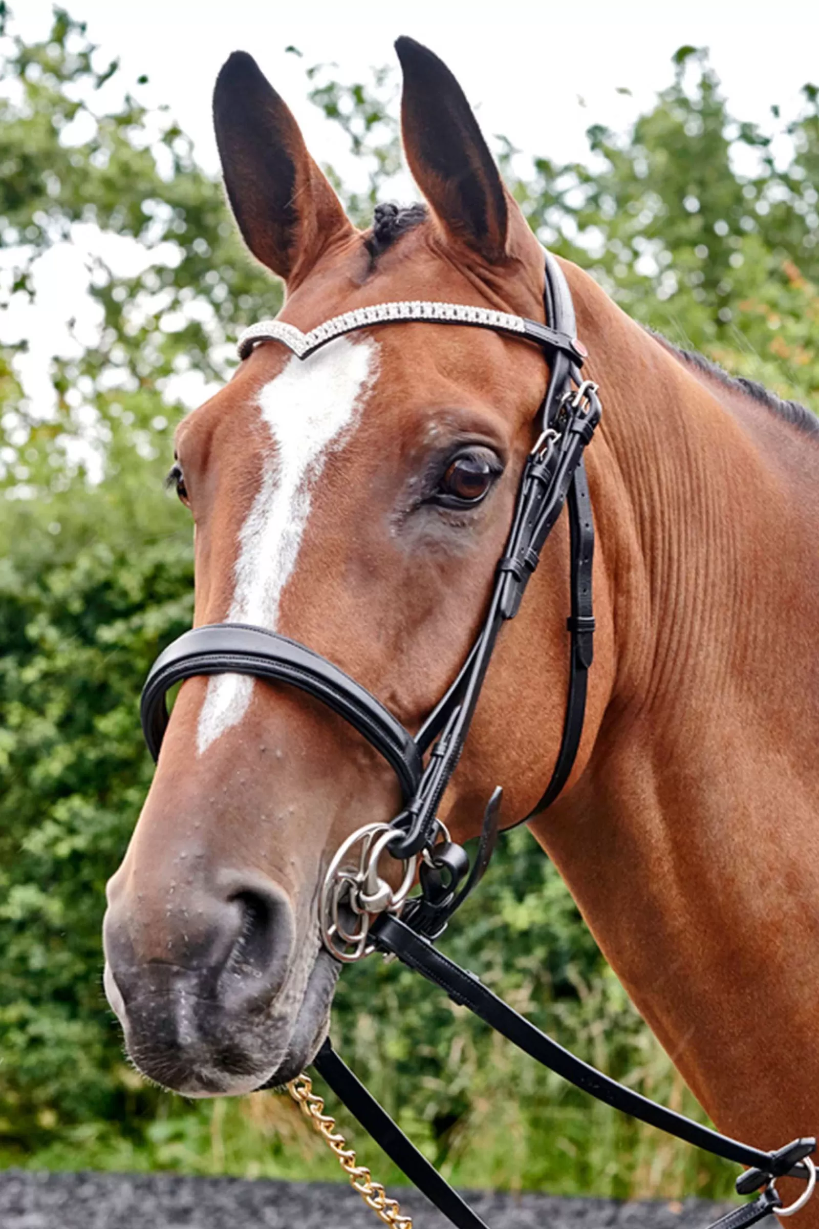 johnwhitaker Briglie E Chiudibocca | Briglia Snaffle John Whitaker Lynton Con Fascia Di Riserva Black