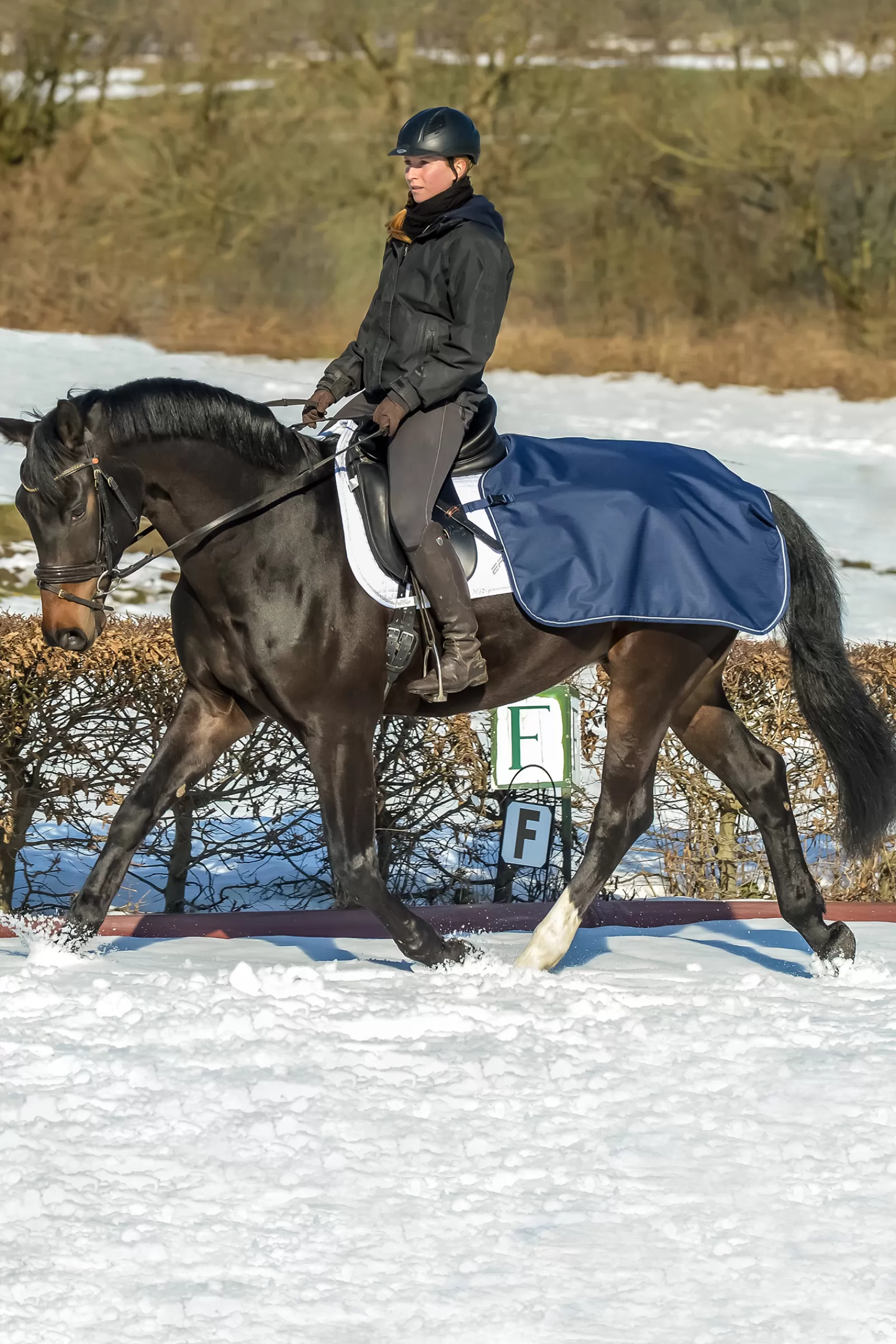 Coperta Da Equitazione>bucas Discount