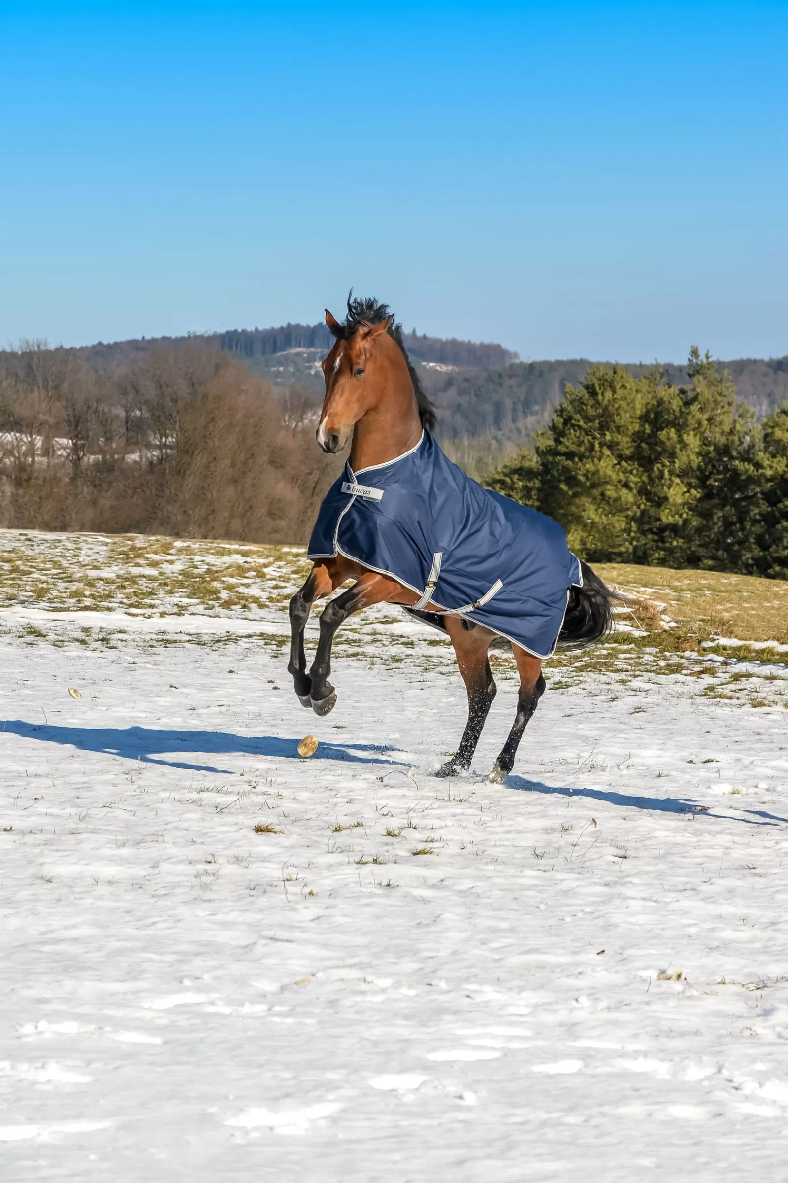 Freedom Coperta Da Turnout, 150G>bucas Shop