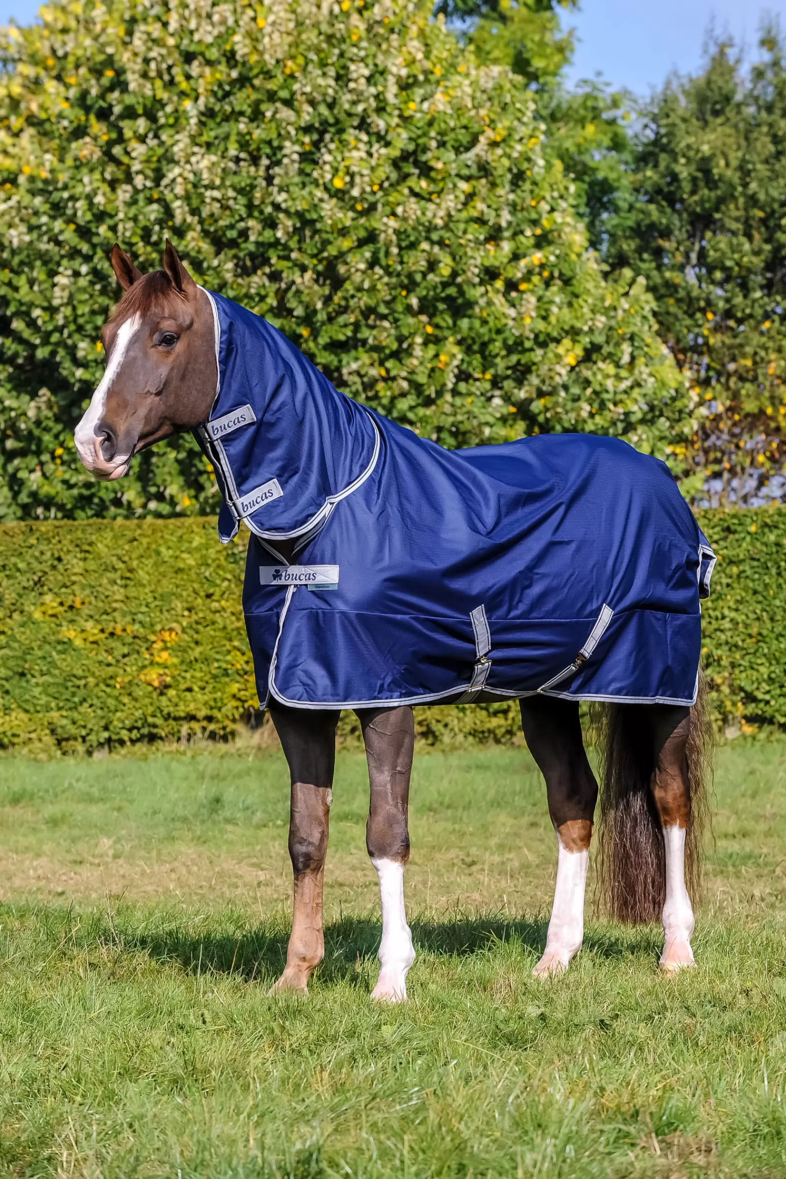 Freedom Coperta Da Turnout Con Collo Alto 150G (Coperta)/150G (Collo)>bucas New