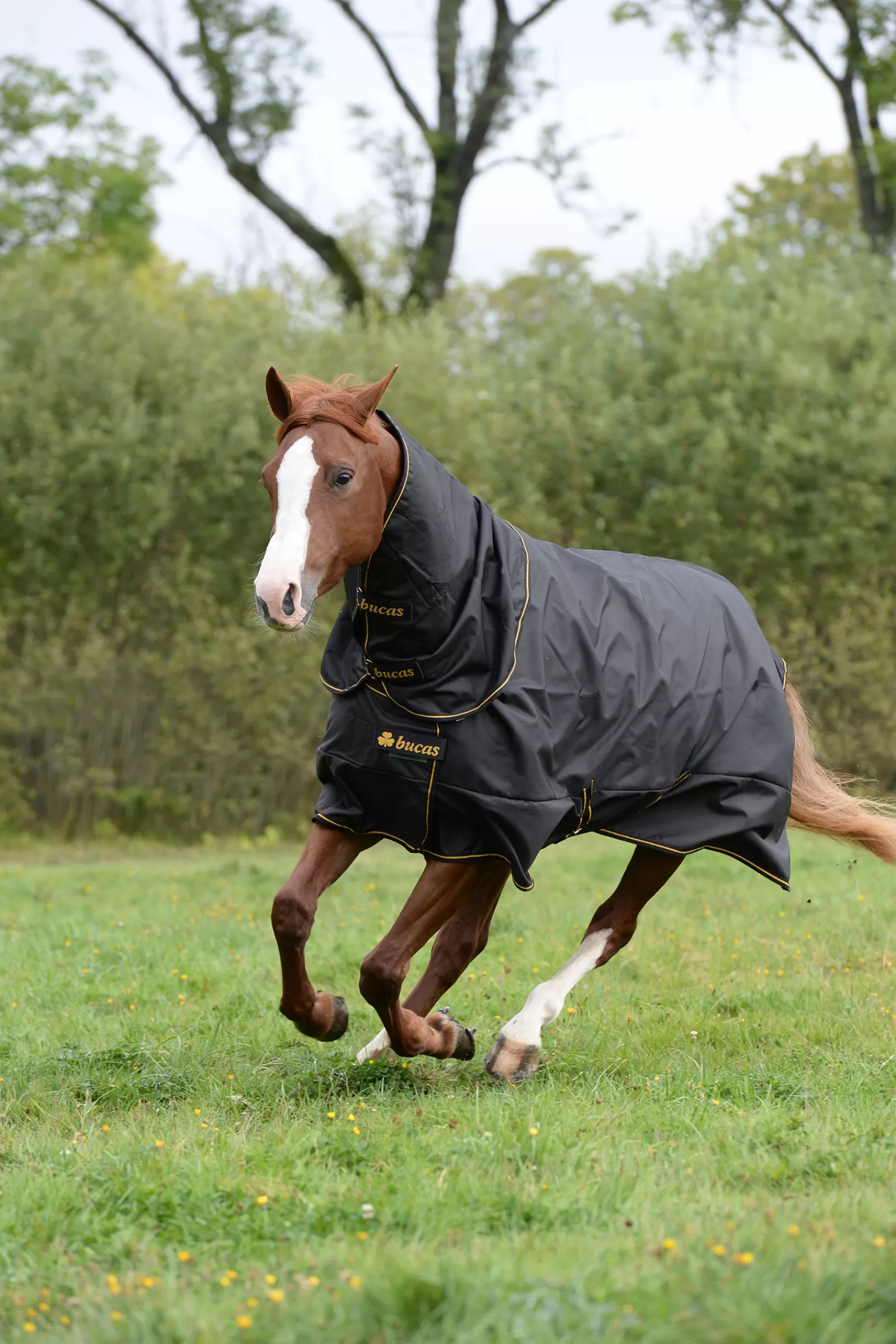 Irish Coperta Da Turnout Extra Classic, 300G>bucas Clearance