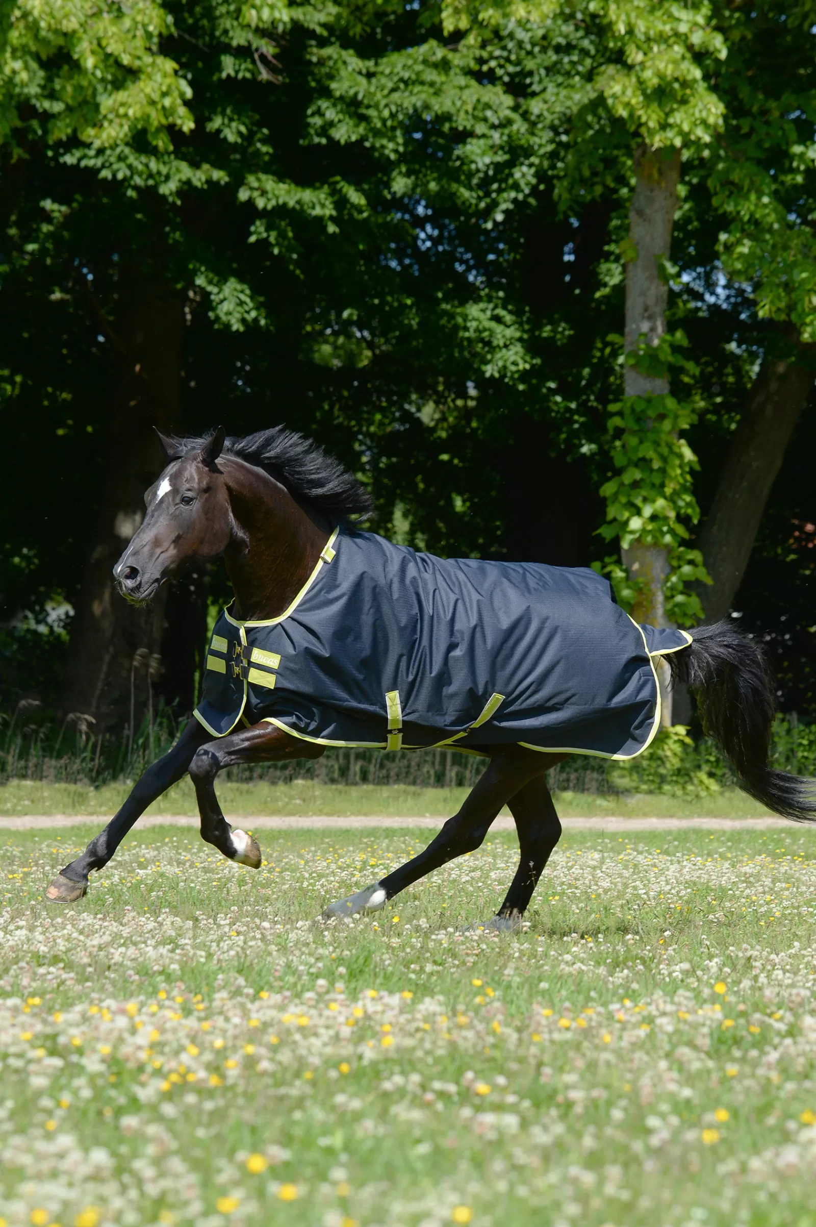 Oasis Coperta Da Turnout Con Collo Rimovibile, 100 Gr>bucas Cheap