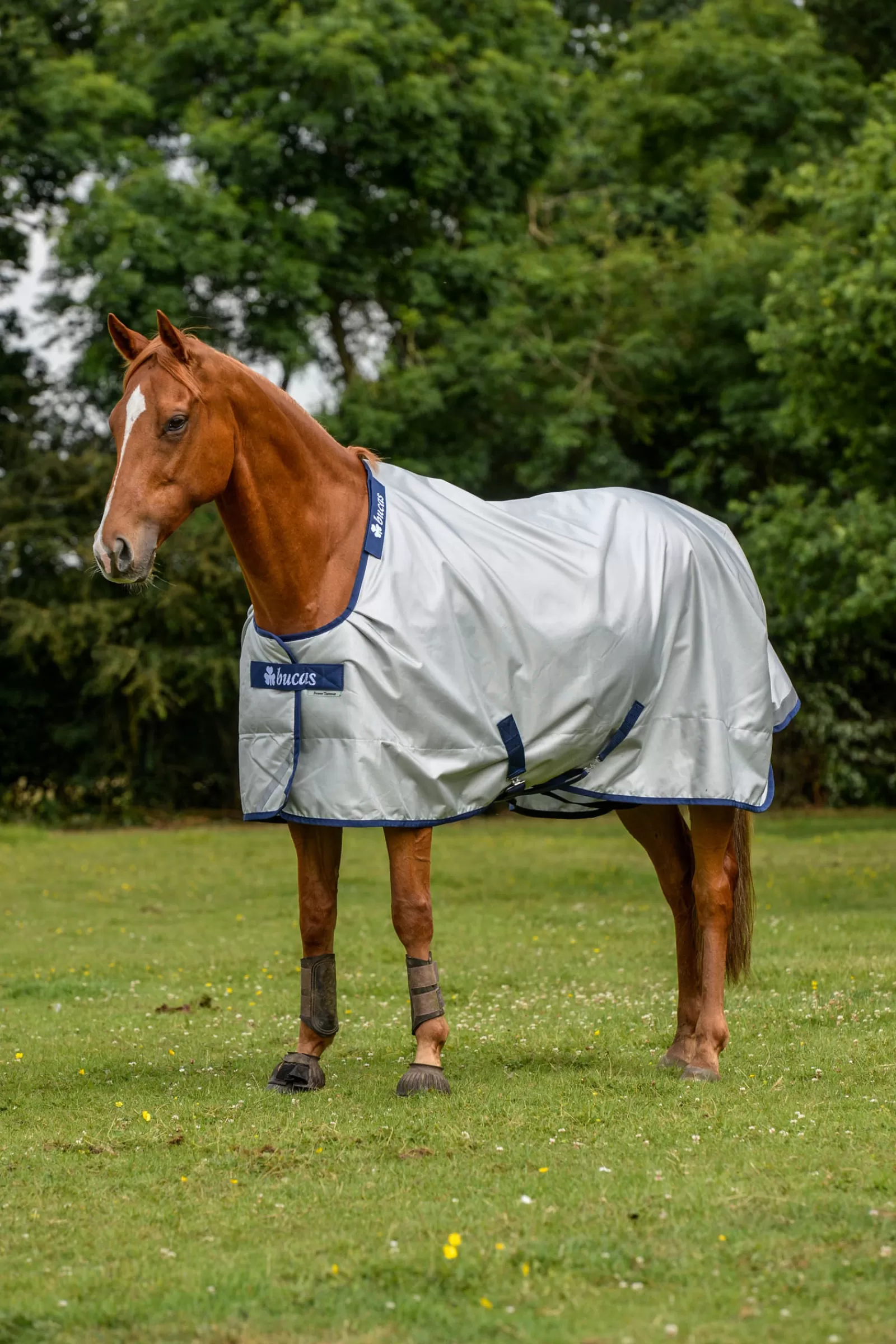 Power Coperta Da Turnout Con Funzione Di Raffreddamento, 0G>bucas Discount