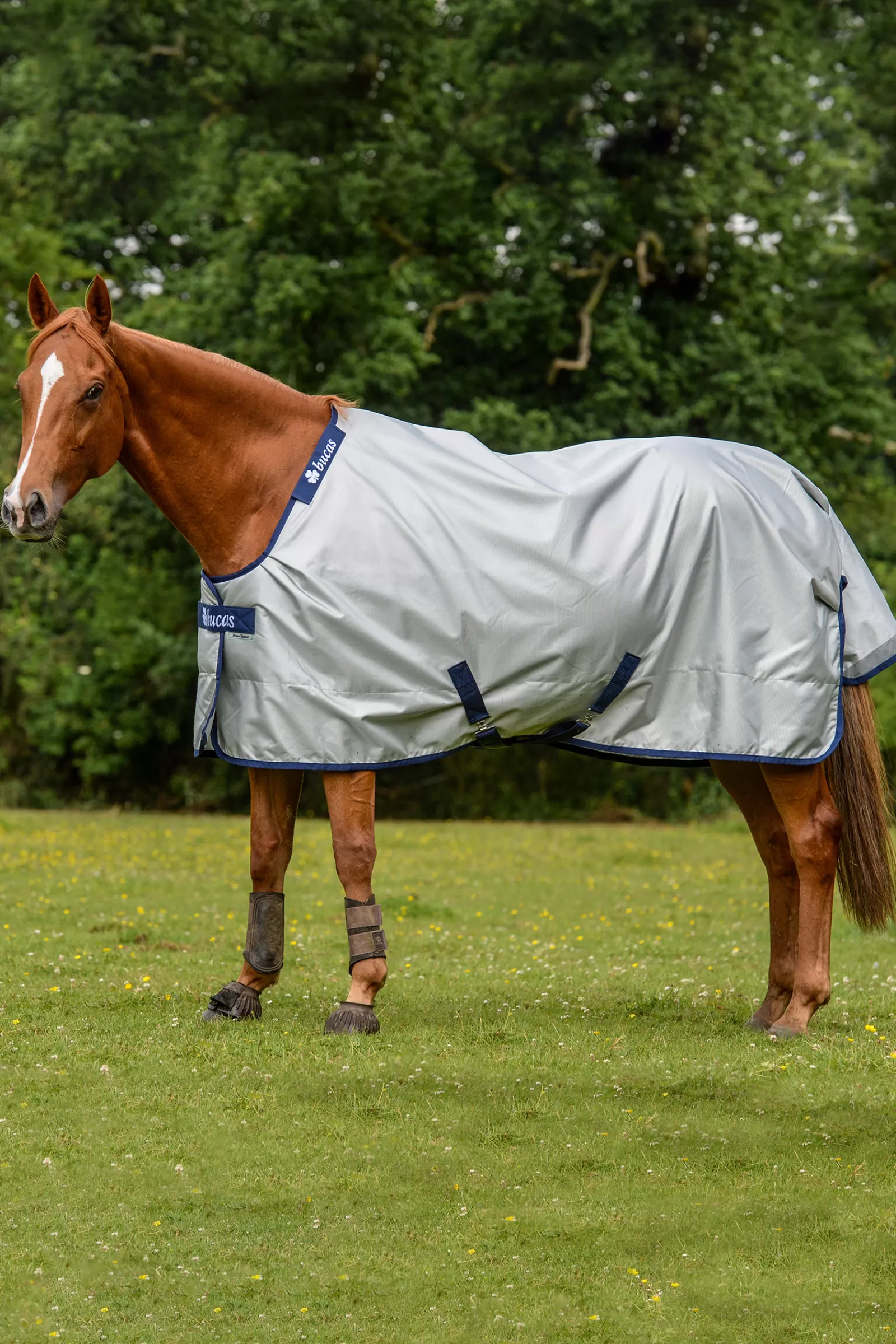 Power Coperta Da Turnout Extra Con Funzione Di Raffreddamento, 300G>bucas Hot