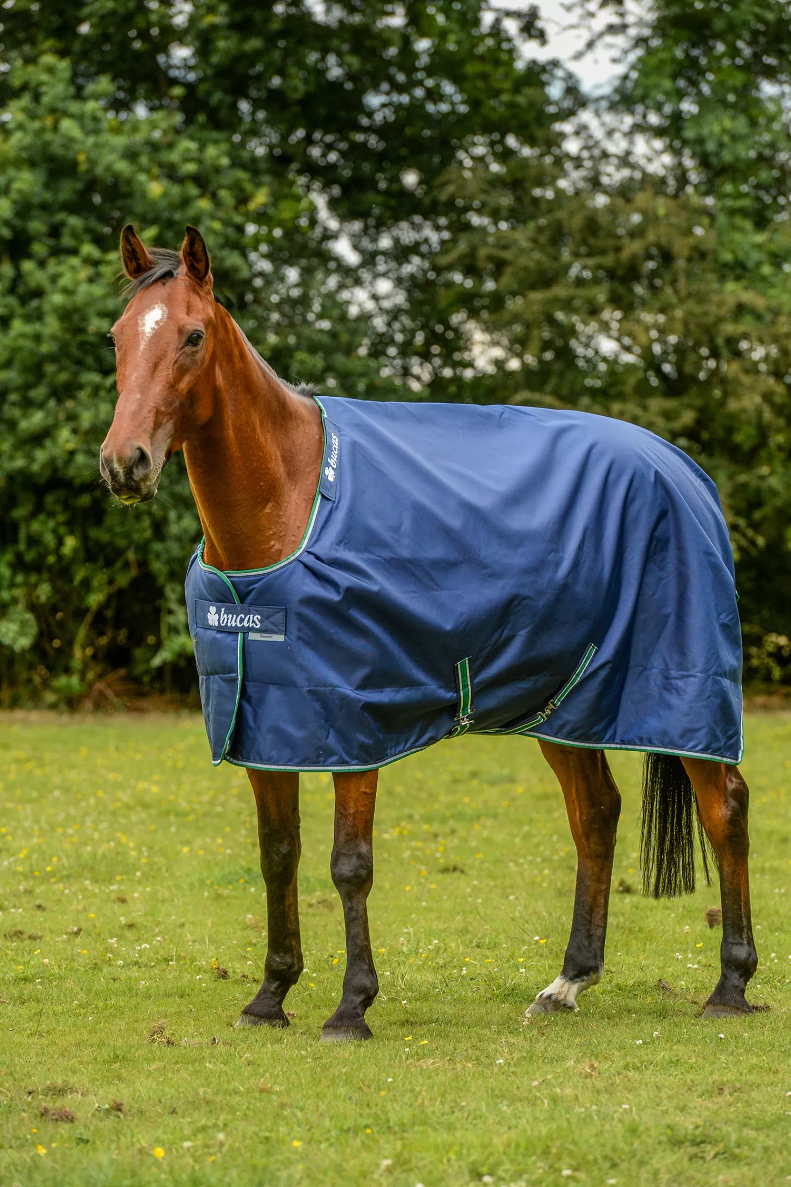 Smartex Coperta Da Turnout Impermeabile Con Funzione Di Raffreddamento, 0G>bucas Fashion