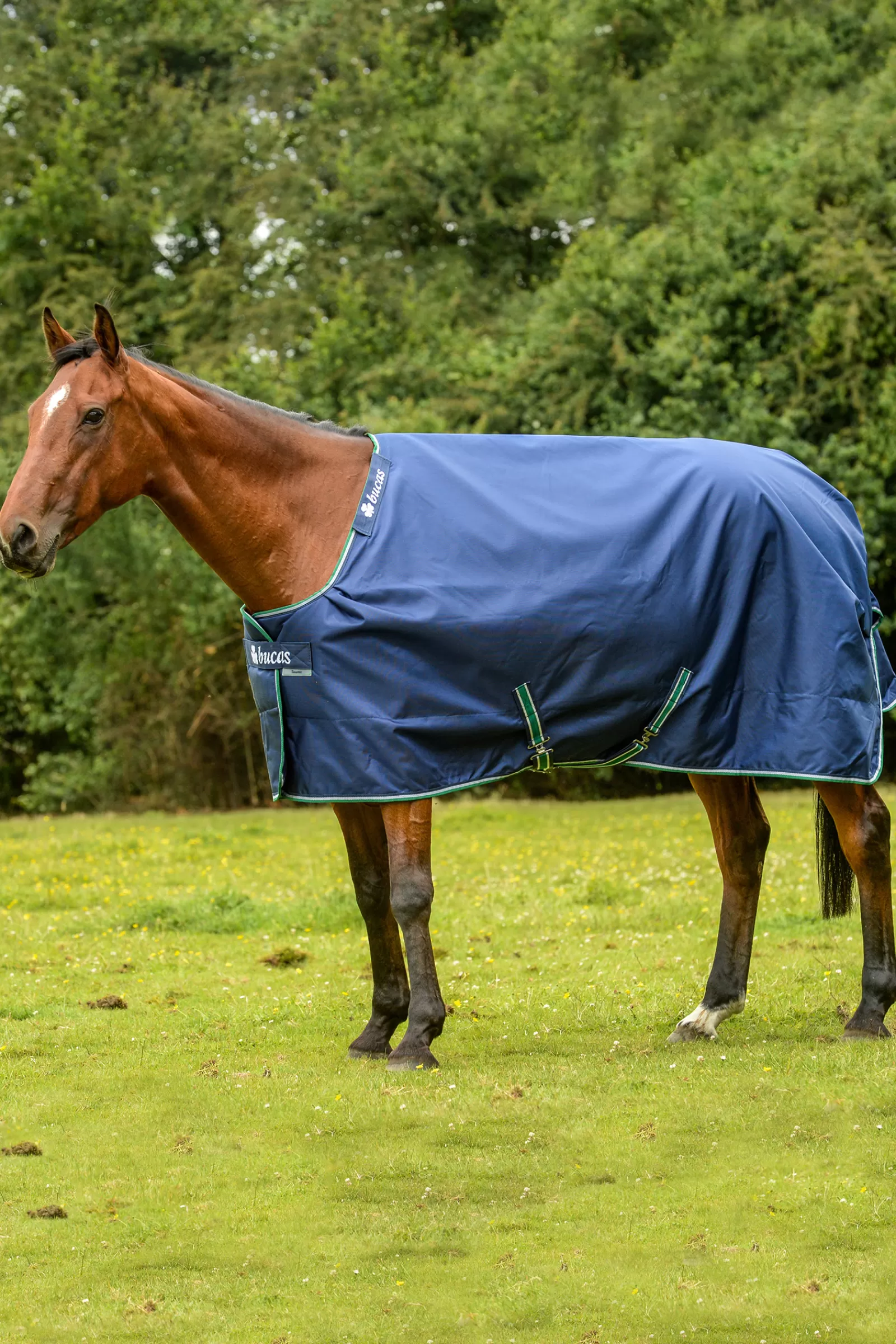 Smartex Coperta Da Turnout Impermeabile Con Funzione Di Raffreddamento, 0G>bucas Fashion