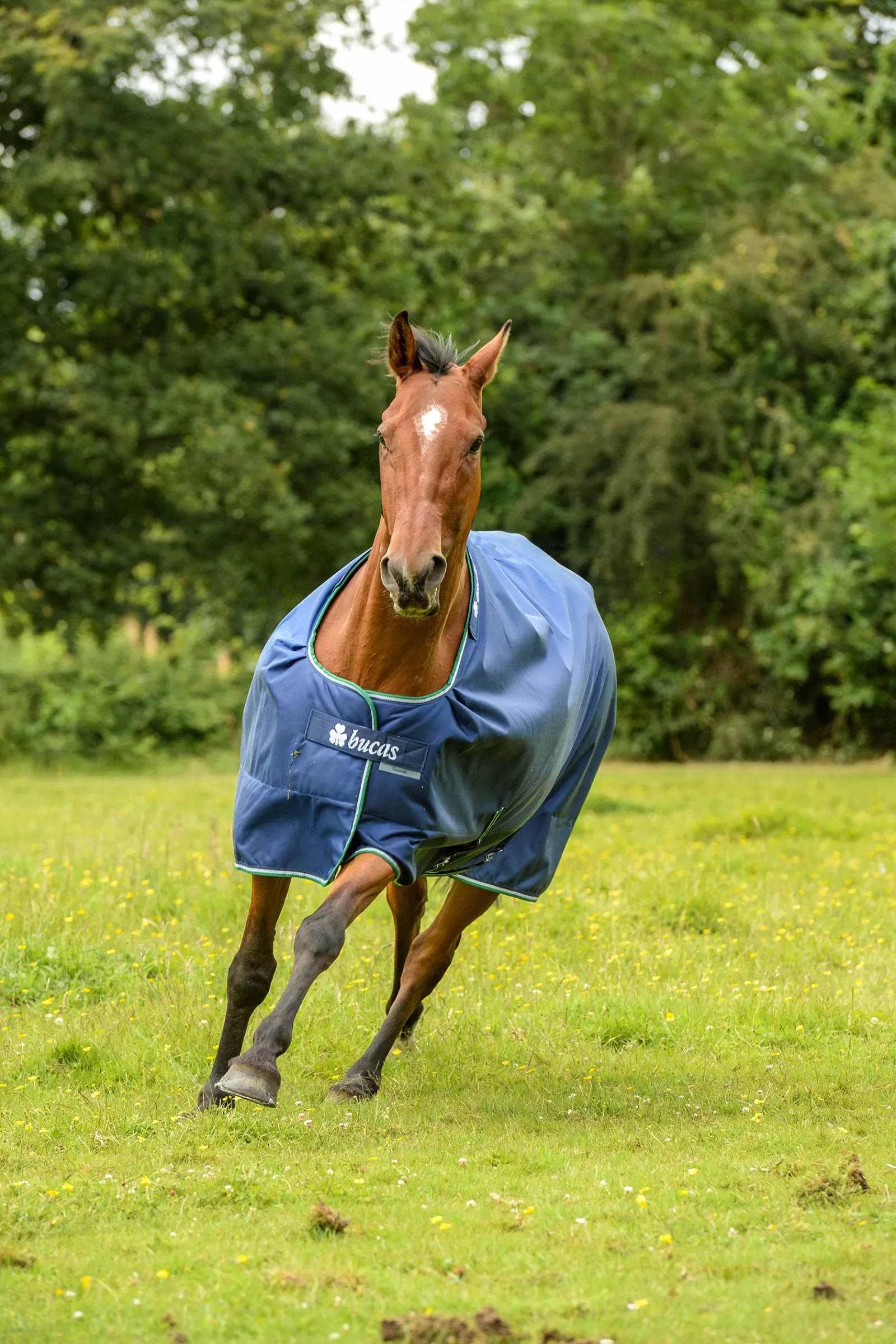 Smartex Coperta Da Turnout Impermeabile Con Funzione Di Raffreddamento Con Collo Grande, 0G>bucas Store