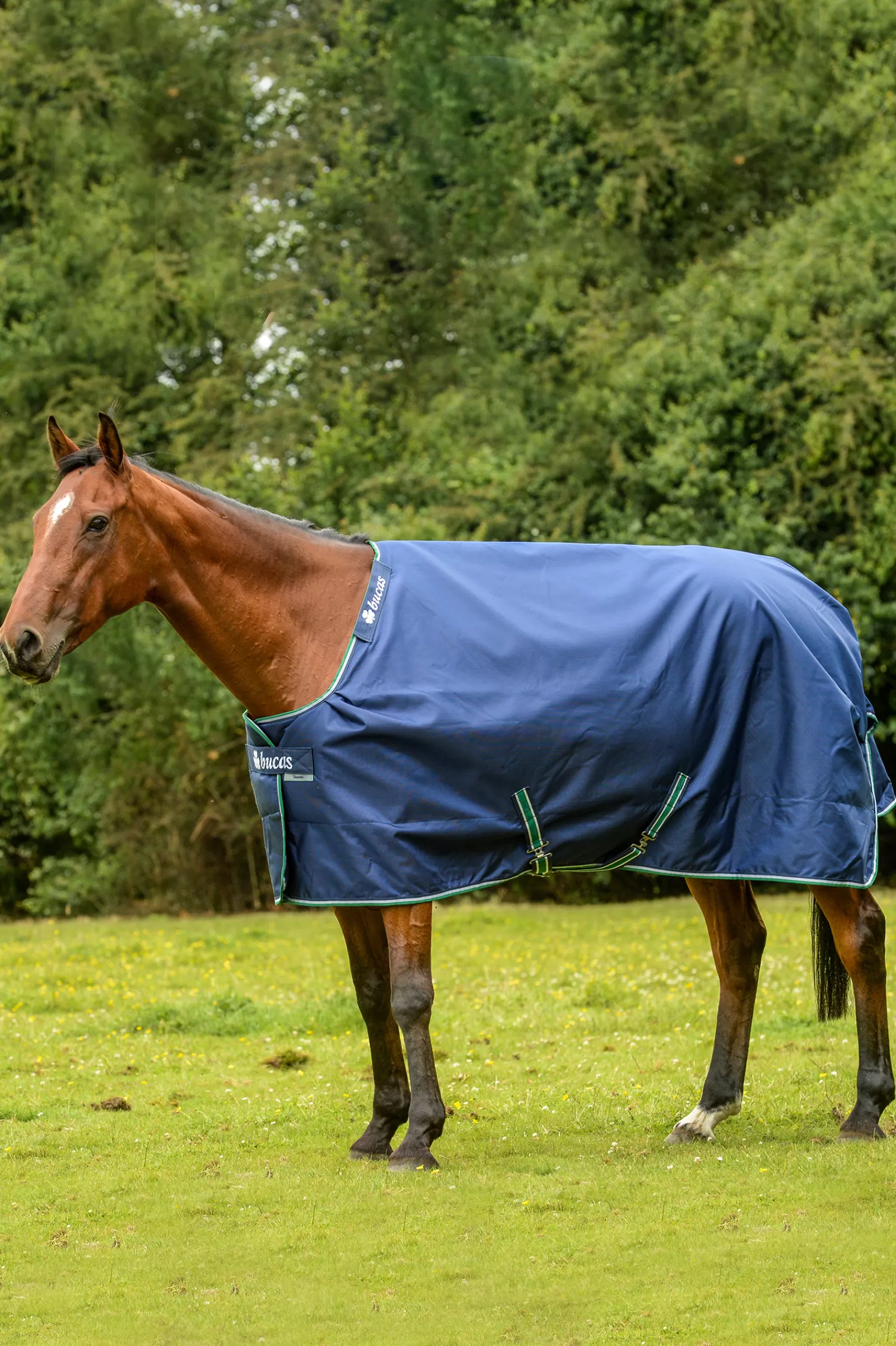 Smartex Coperta Da Turnout Media Con Funzione Di Raffreddamento, 150G>bucas Shop
