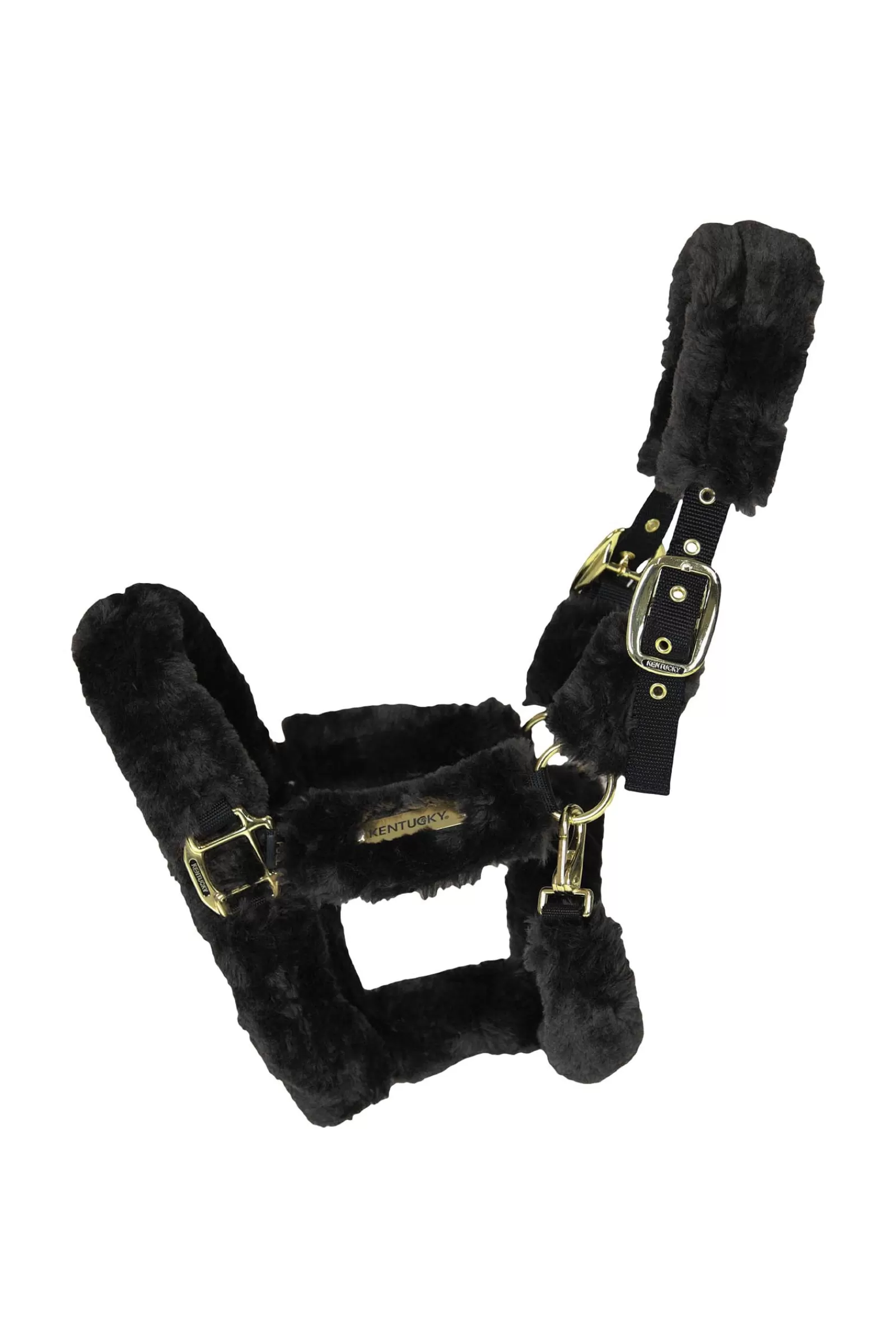 Capezza Da Spedizione In Pelle Di Pecora Horsewear>kentucky New