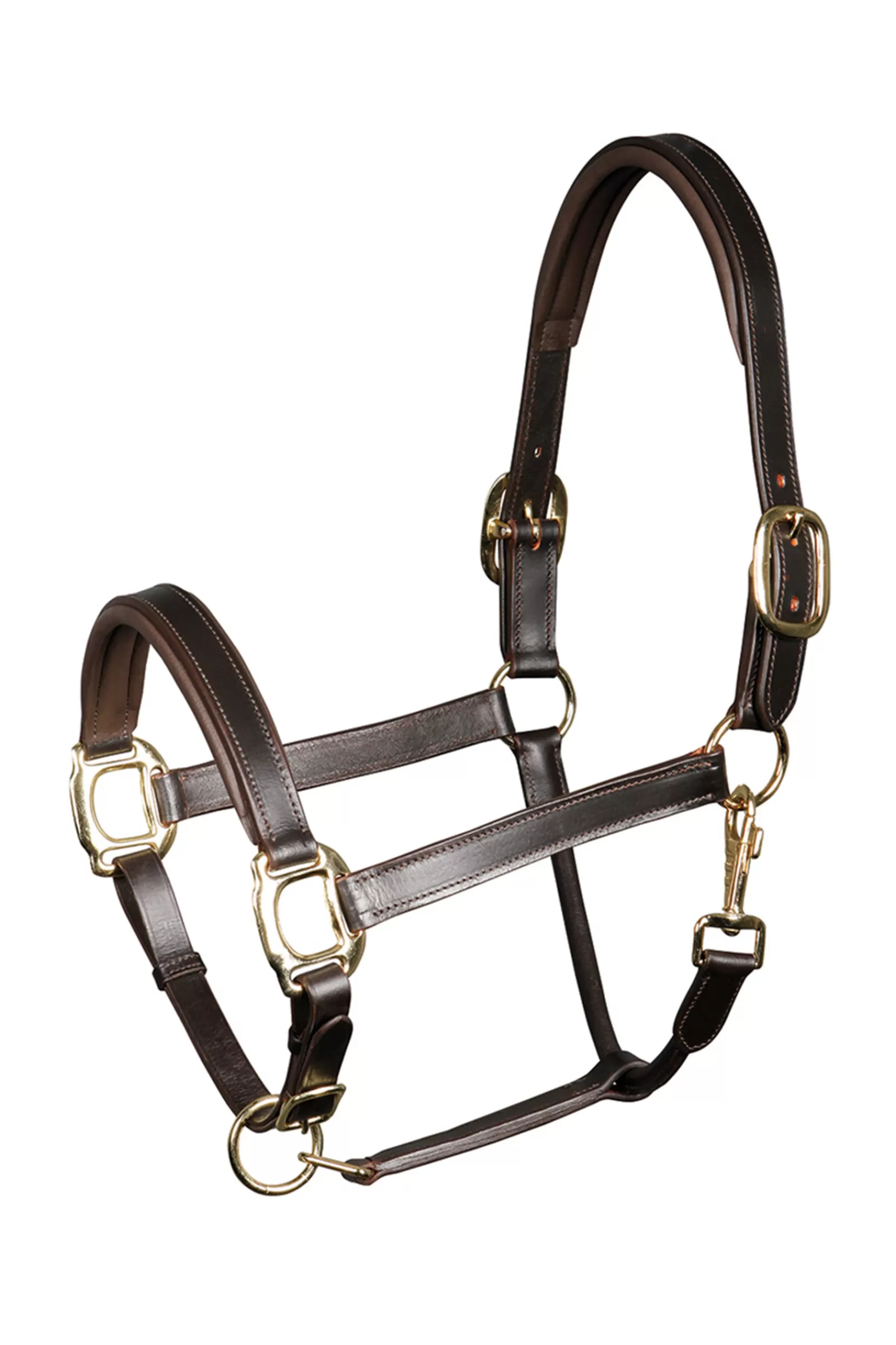 Capezza In Pelle Imbottita Di Cavallo Di Harry>harryshorse Online