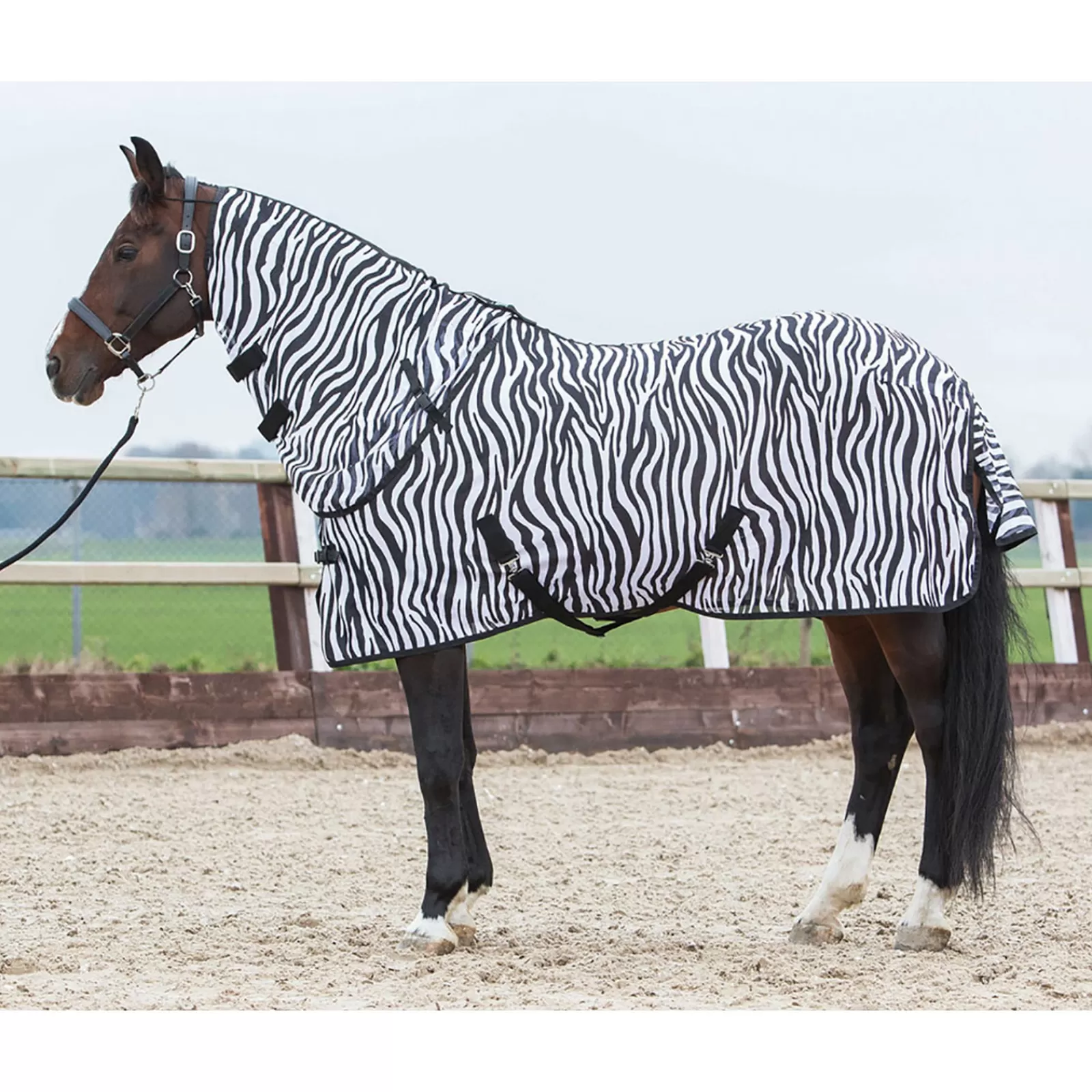 Coperta Antimosche Harry'S Horse Con Collo Staccabile>harryshorse Best