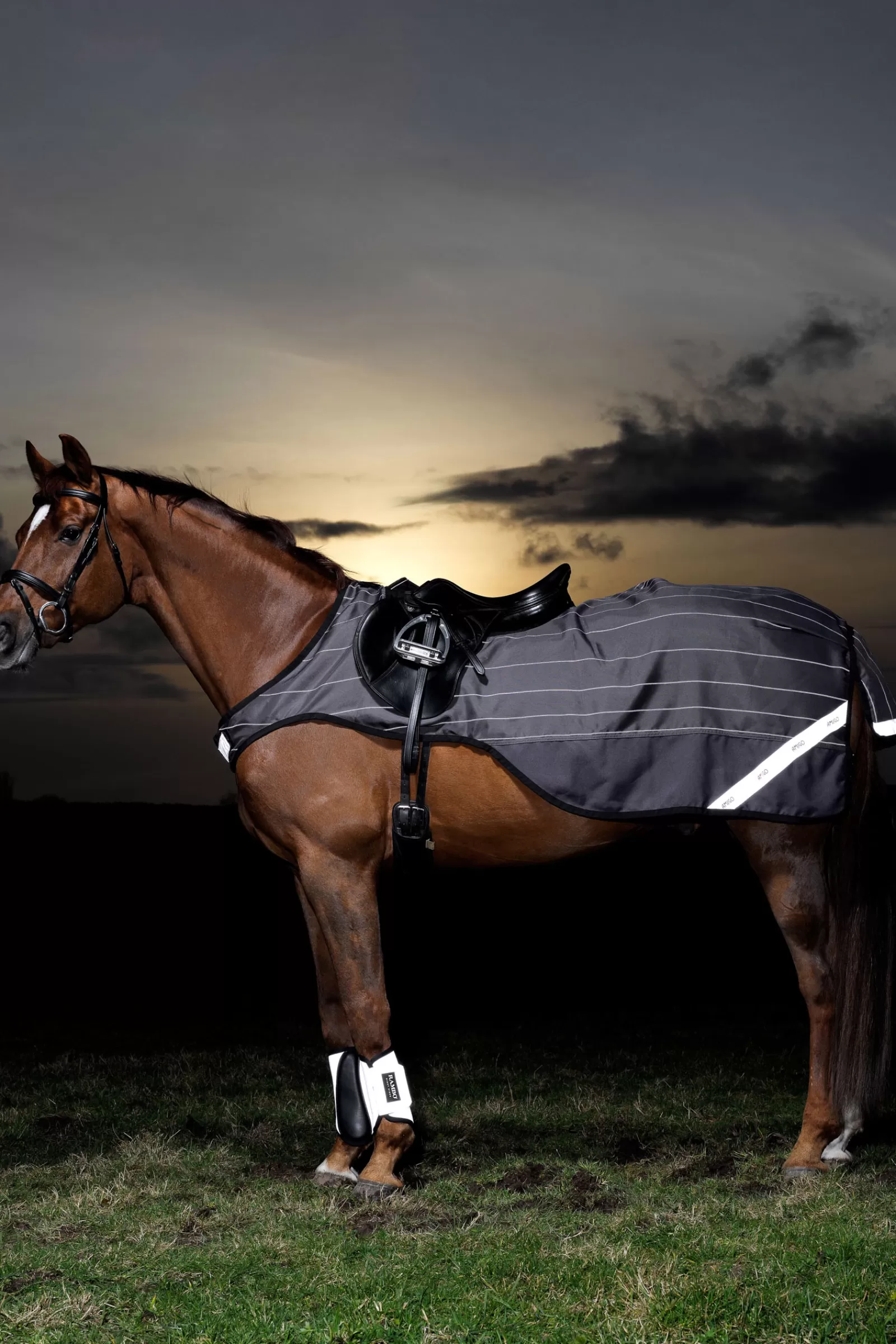 Coperta Da Equitazione Amigo Reflectech Comp Sheet>horseware Clearance