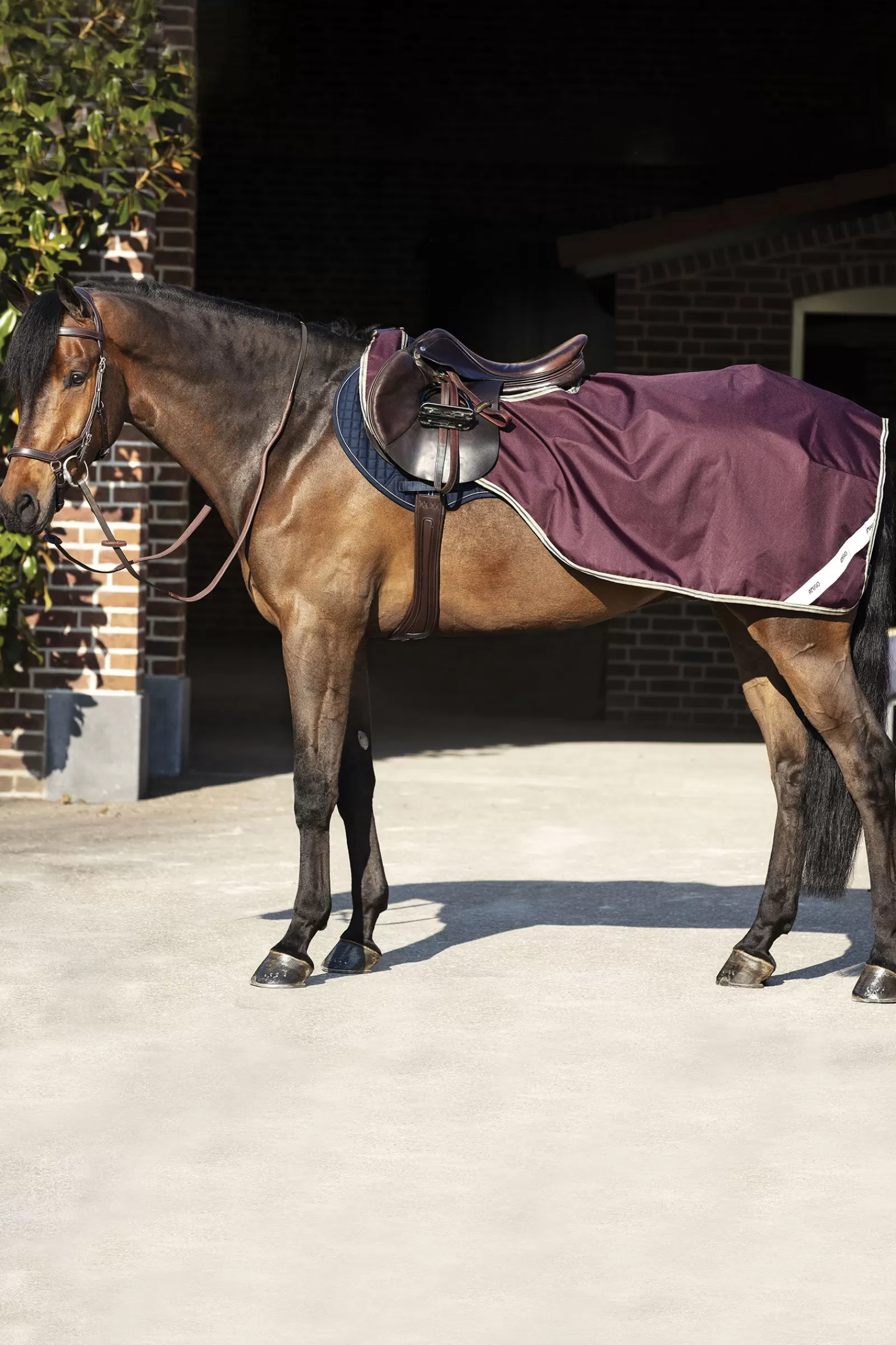 Coperta Da Equitazione Amigo Ripstop>horseware Store