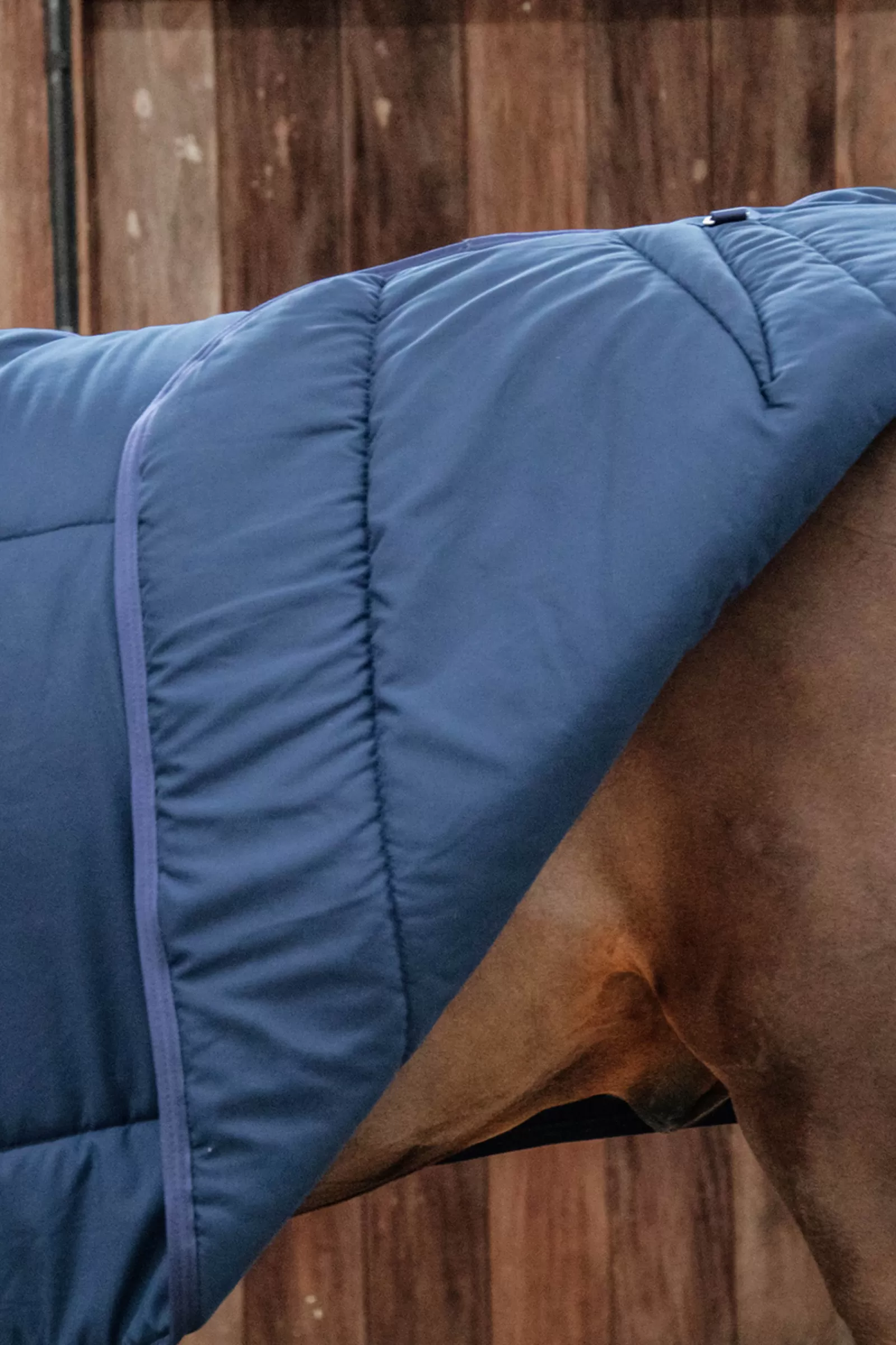 Coperta Da Scuderia Classica Horsewear, 300 G>kentucky Discount