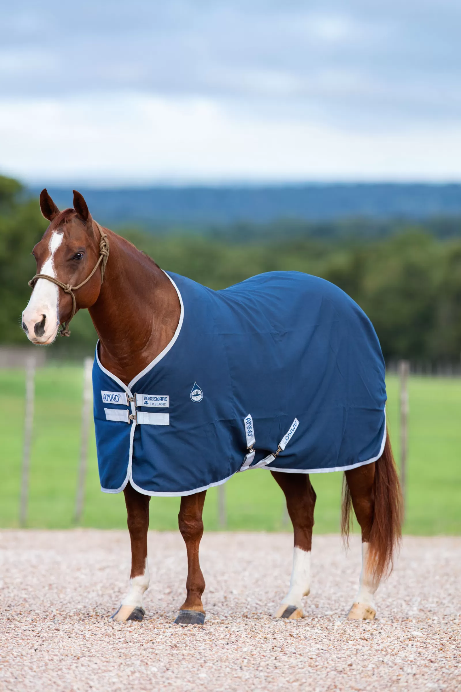 Coperta Da Scuderia Amigo, 0 G>horseware Shop