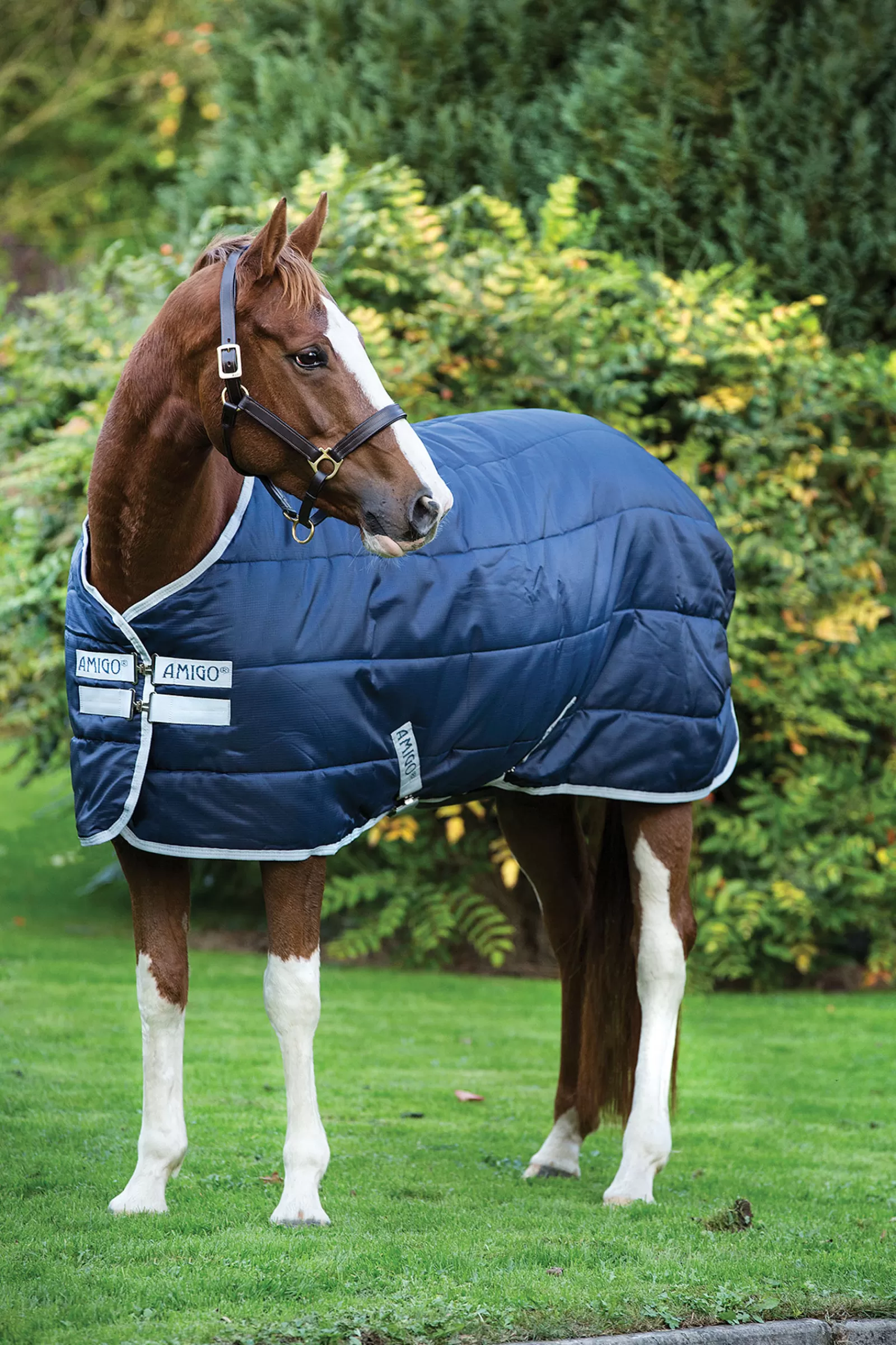 Coperta Da Scuderia Amigo Insulator, 200 G>horseware Cheap