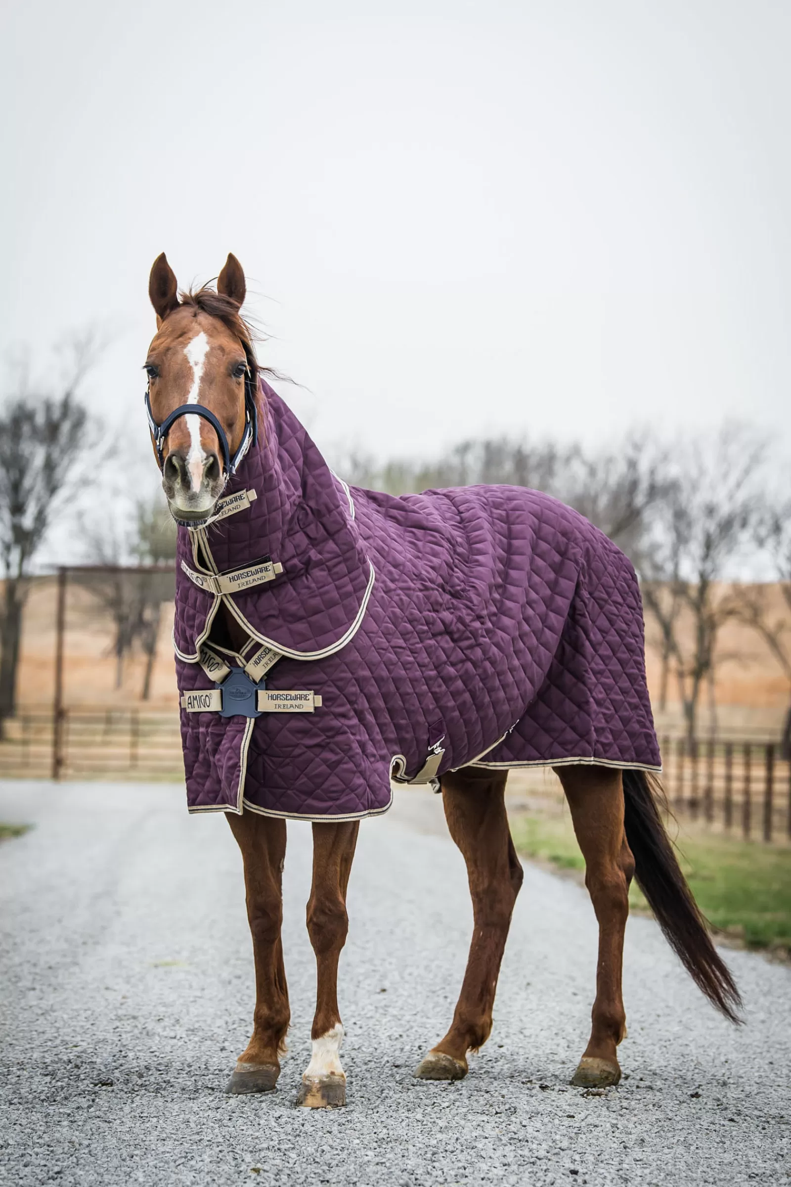 Coperta Da Scuderia Amigo Stable Plus Med Disc Con Collo Staccabile, 200 G>horseware Online