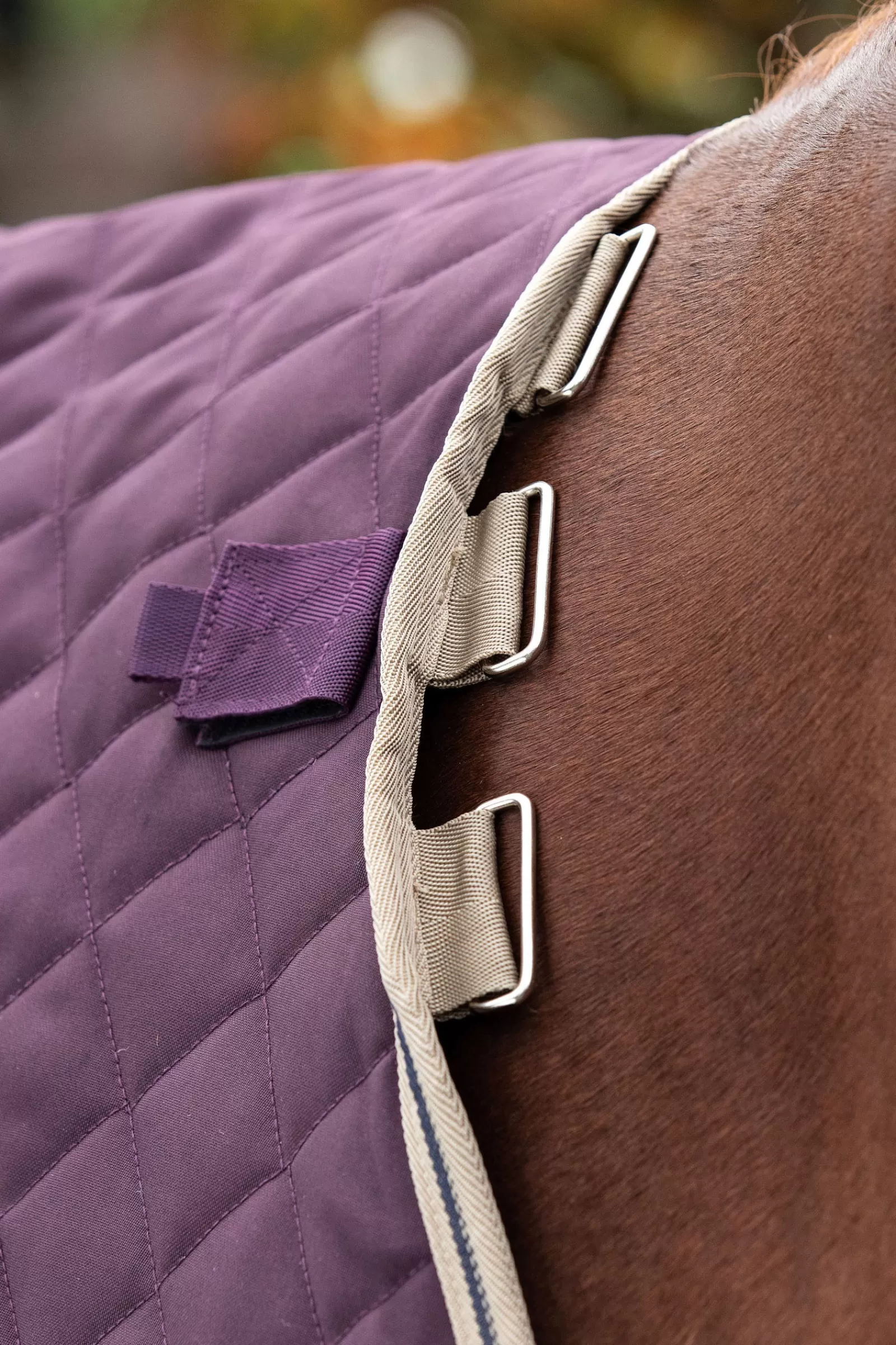 Coperta Da Scuderia Amigo Stable Plus Med Disc Con Collo Staccabile, 200 G>horseware Online
