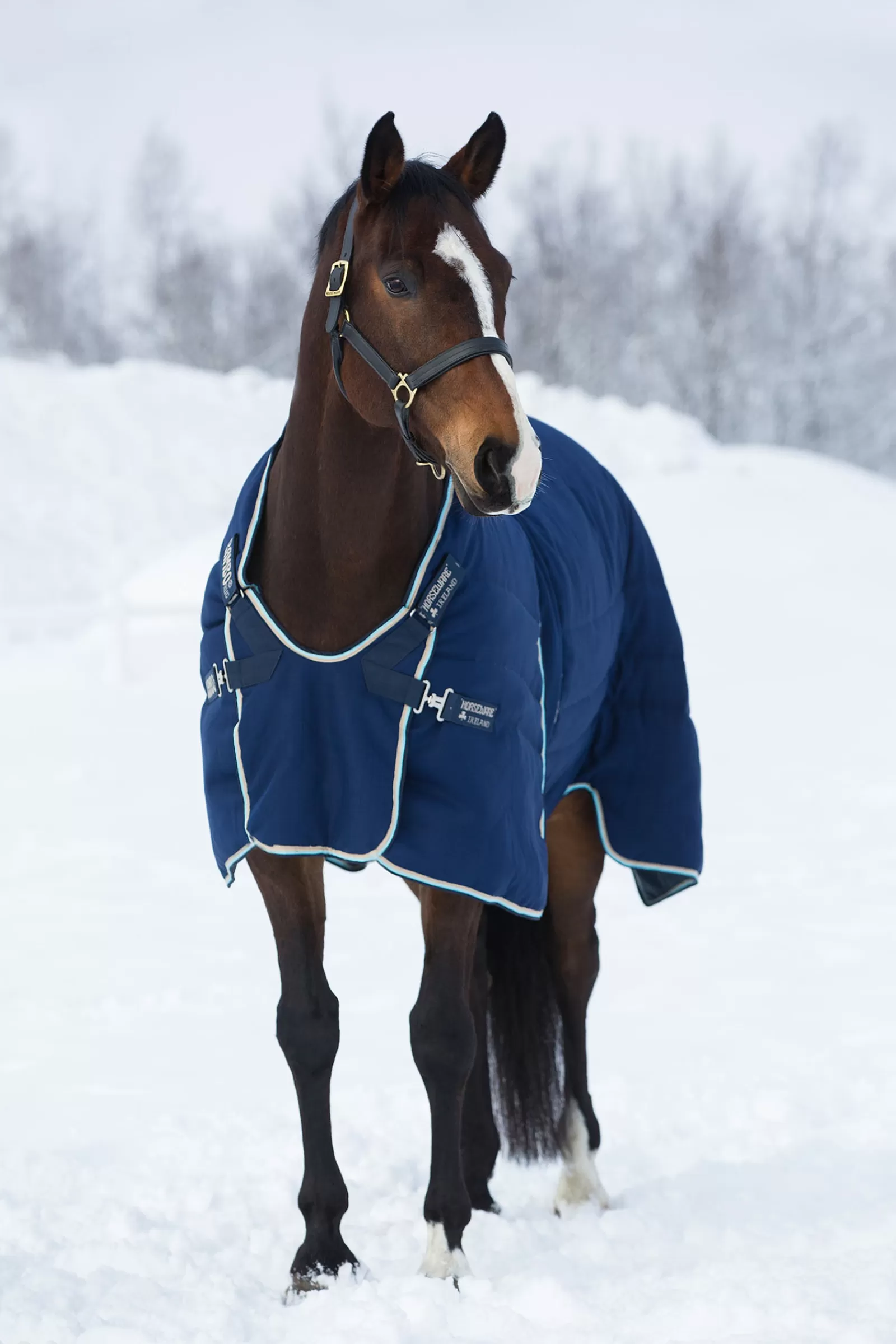 Coperta Da Scuderia Rambo Optimo, 400 G>horseware Hot