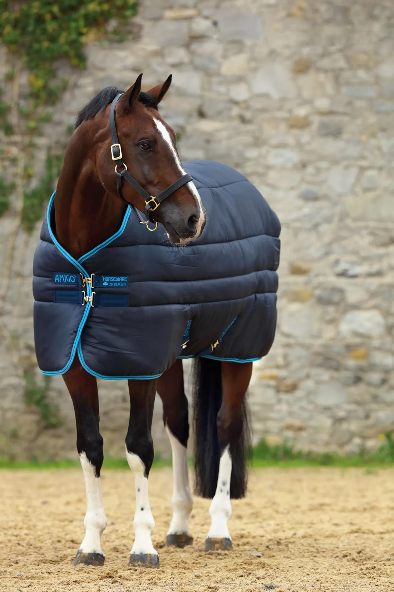 Coperta Da Scuderia Isolante Amigo Con Collo Staccabile, 550 G>horseware Discount