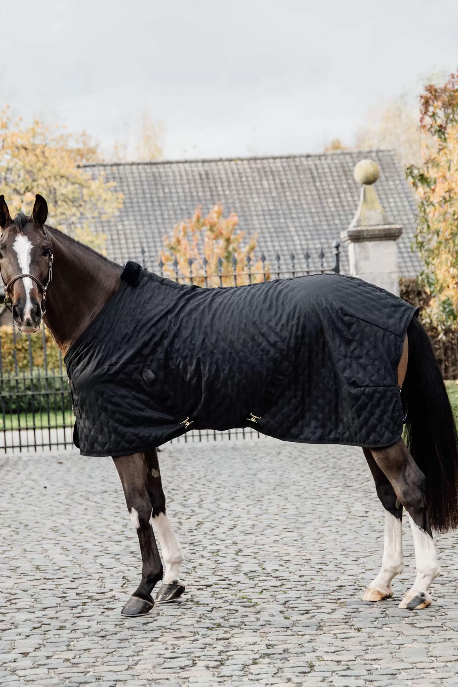 Coperta Da Scuderia Horsewear, 0 G>kentucky Cheap