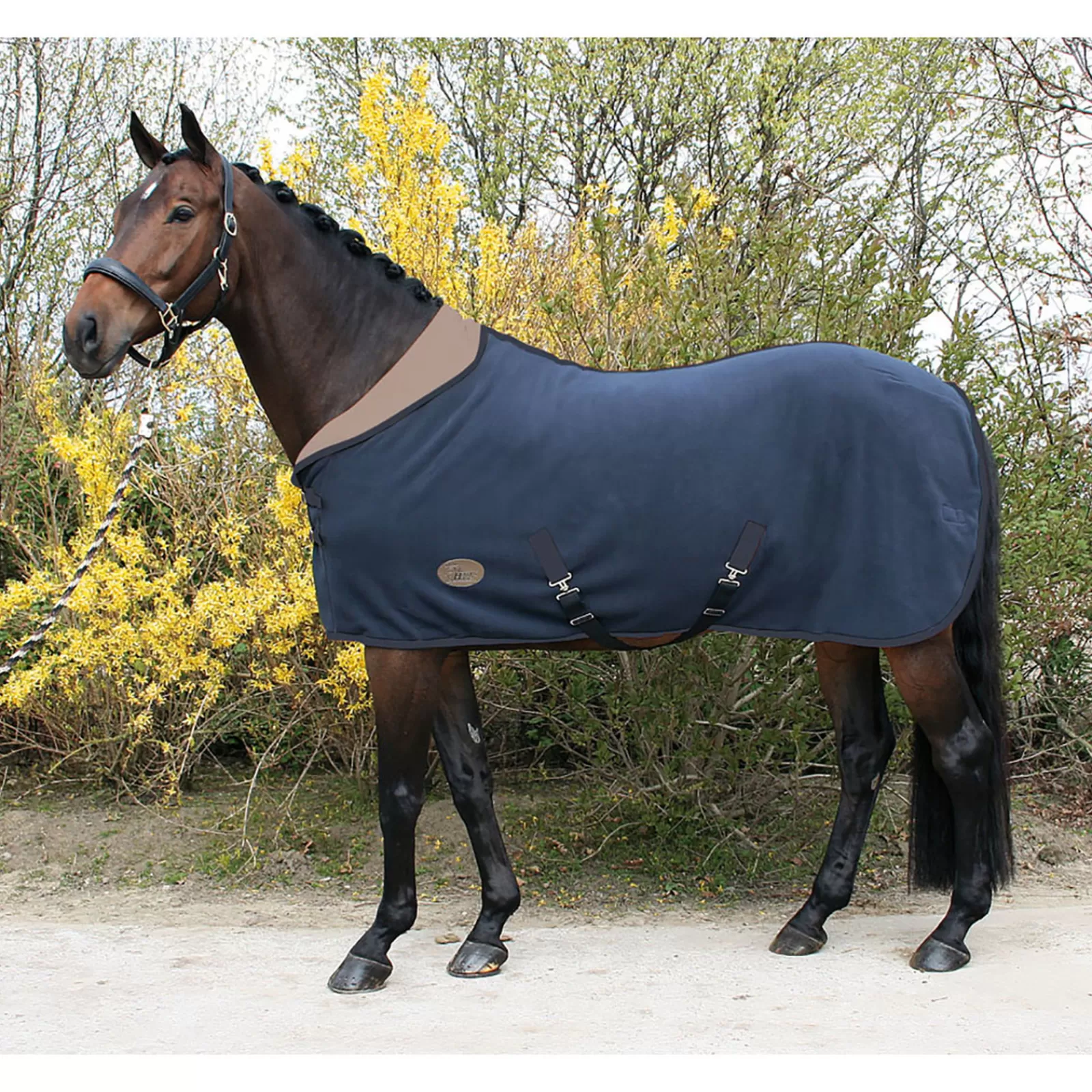 Coperta Harry'S Horse Teddyfleece 1/2 Collo>harryshorse Sale