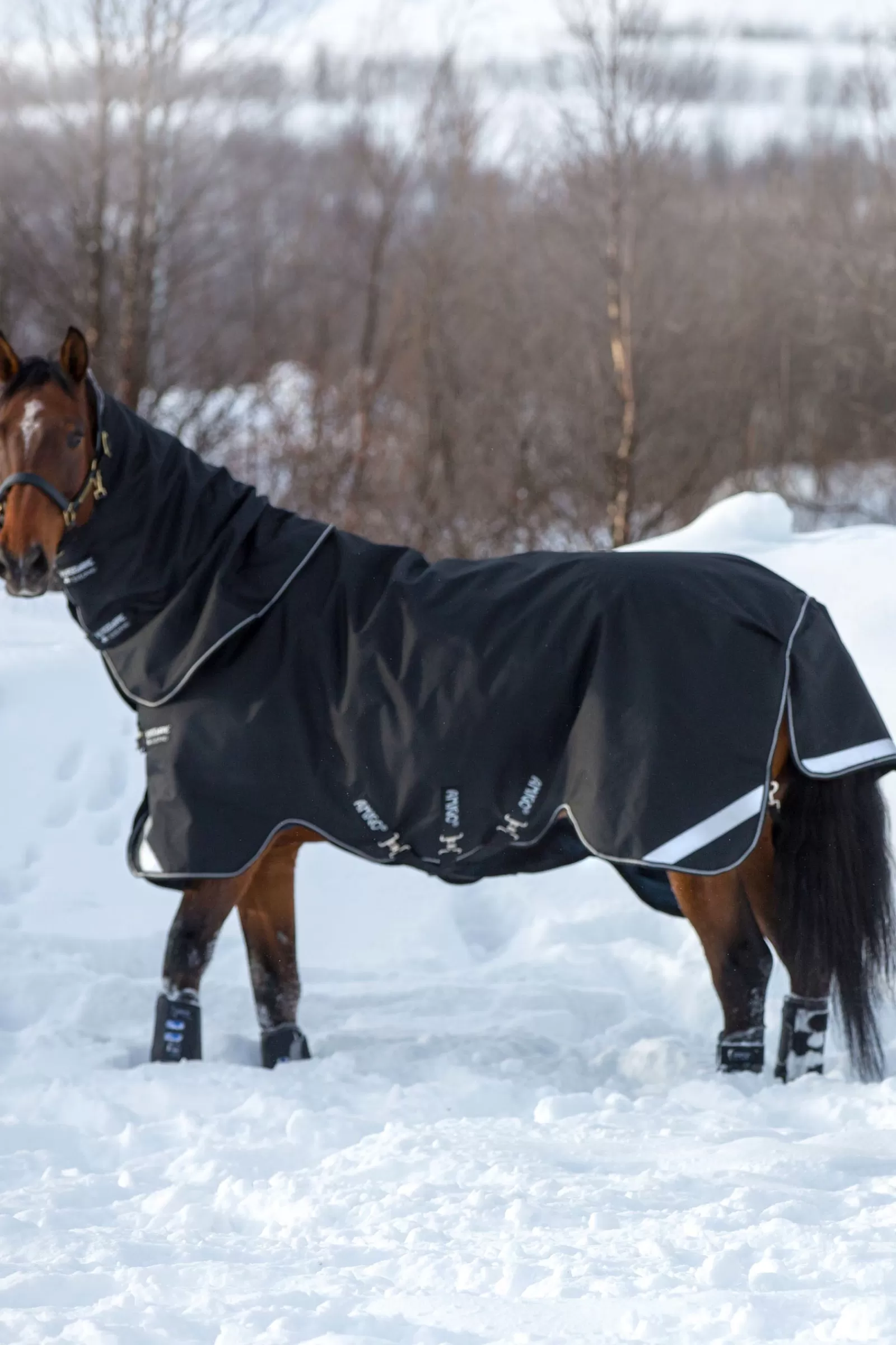 Coperta Amigo Super Bravo Plus Turnout Incl. Cappuccio Staccabile, 250 G>horseware Sale
