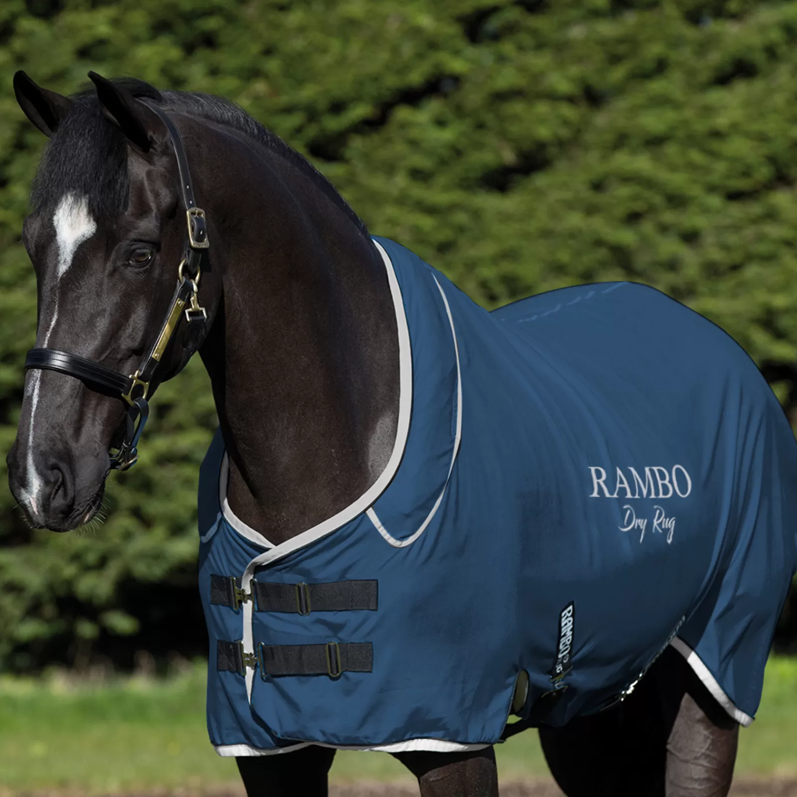 Coperta Rambo Dry Supreme>horseware Cheap