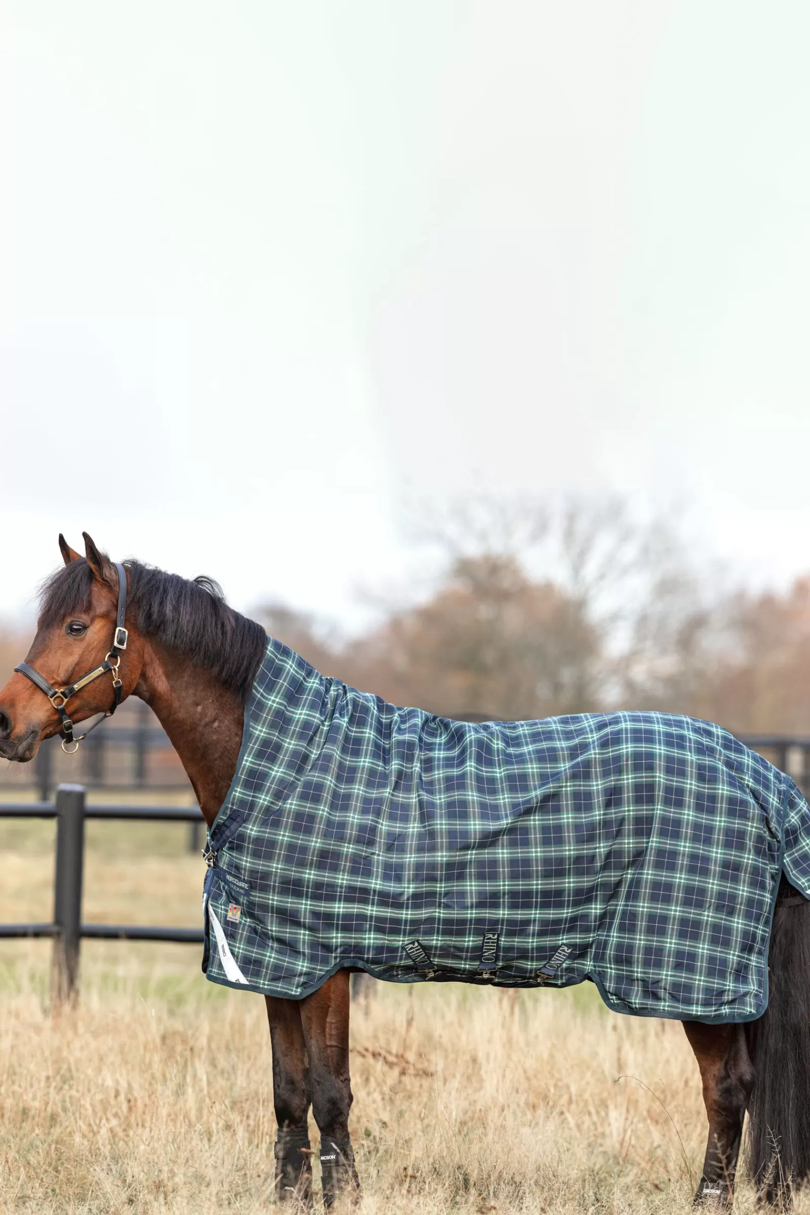 Coperta Rhino Wug A Vari Strati Con Collo Alto, 250 G>horseware Clearance