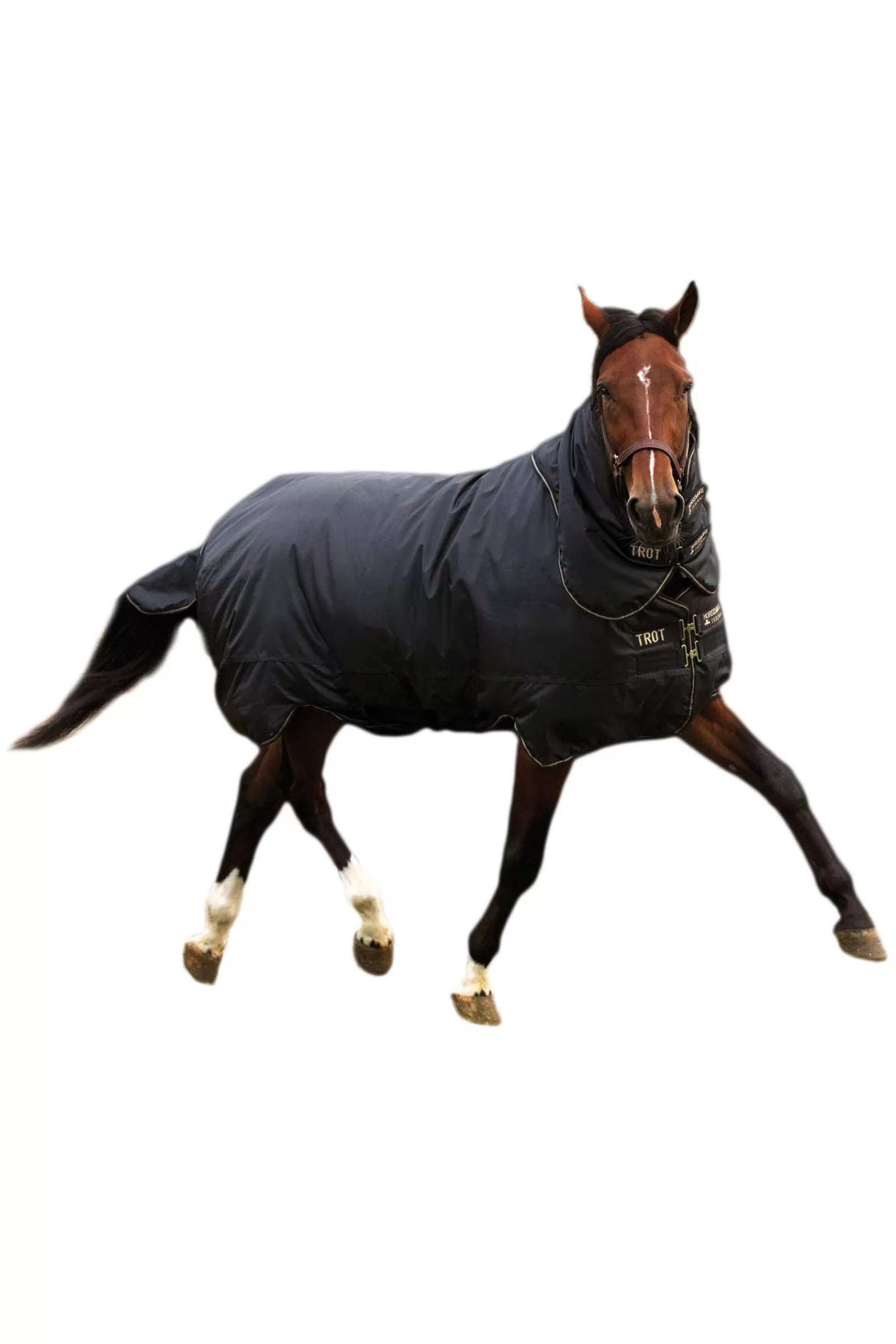 Coperta Trot Plus Turnout Con Collo Staccabile, 350 G>horseware Sale