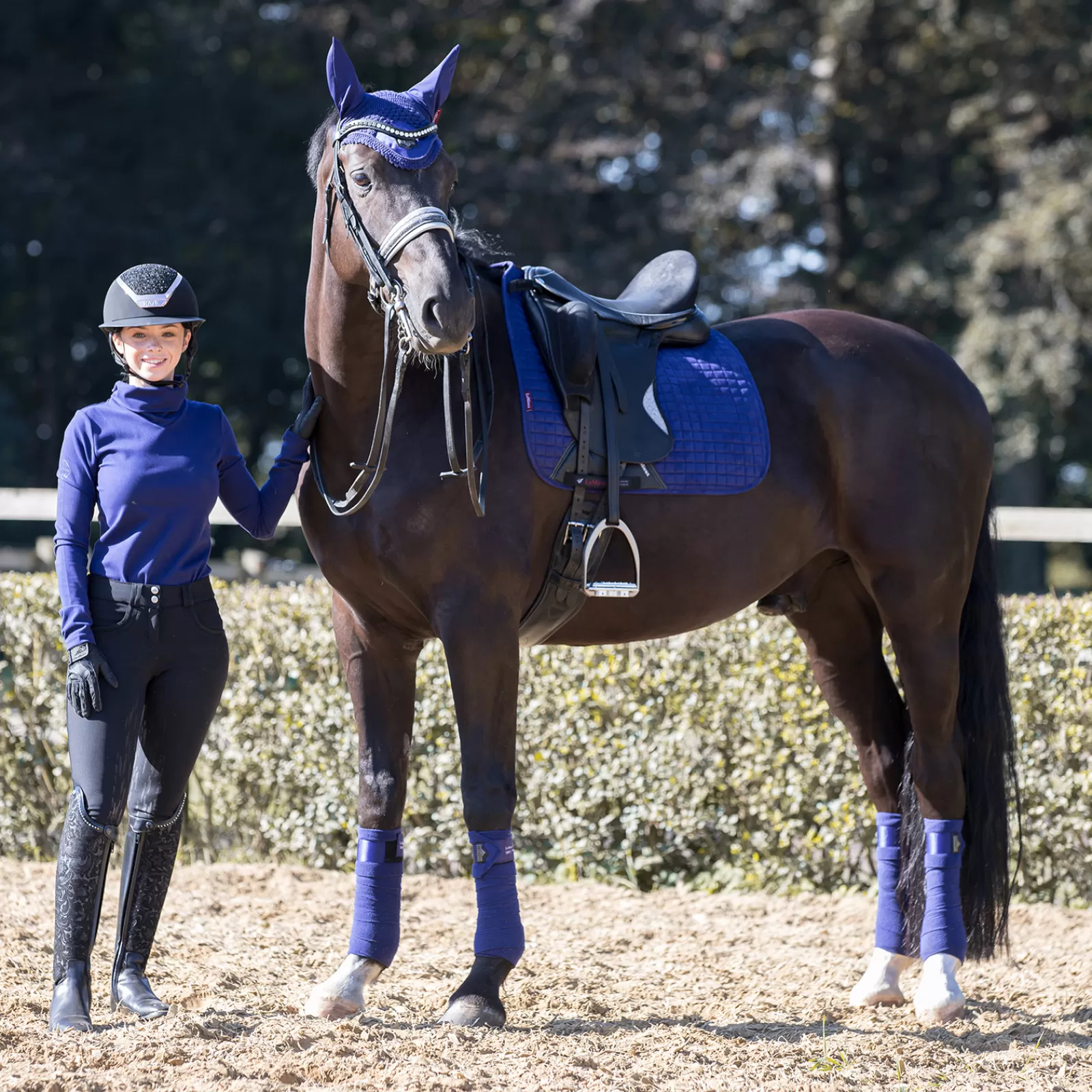 lemieux Dressursjabraker | Cuscinetto Da Dressage Di Lusso Stagionale In Pelle Scamosciata Ink Blue