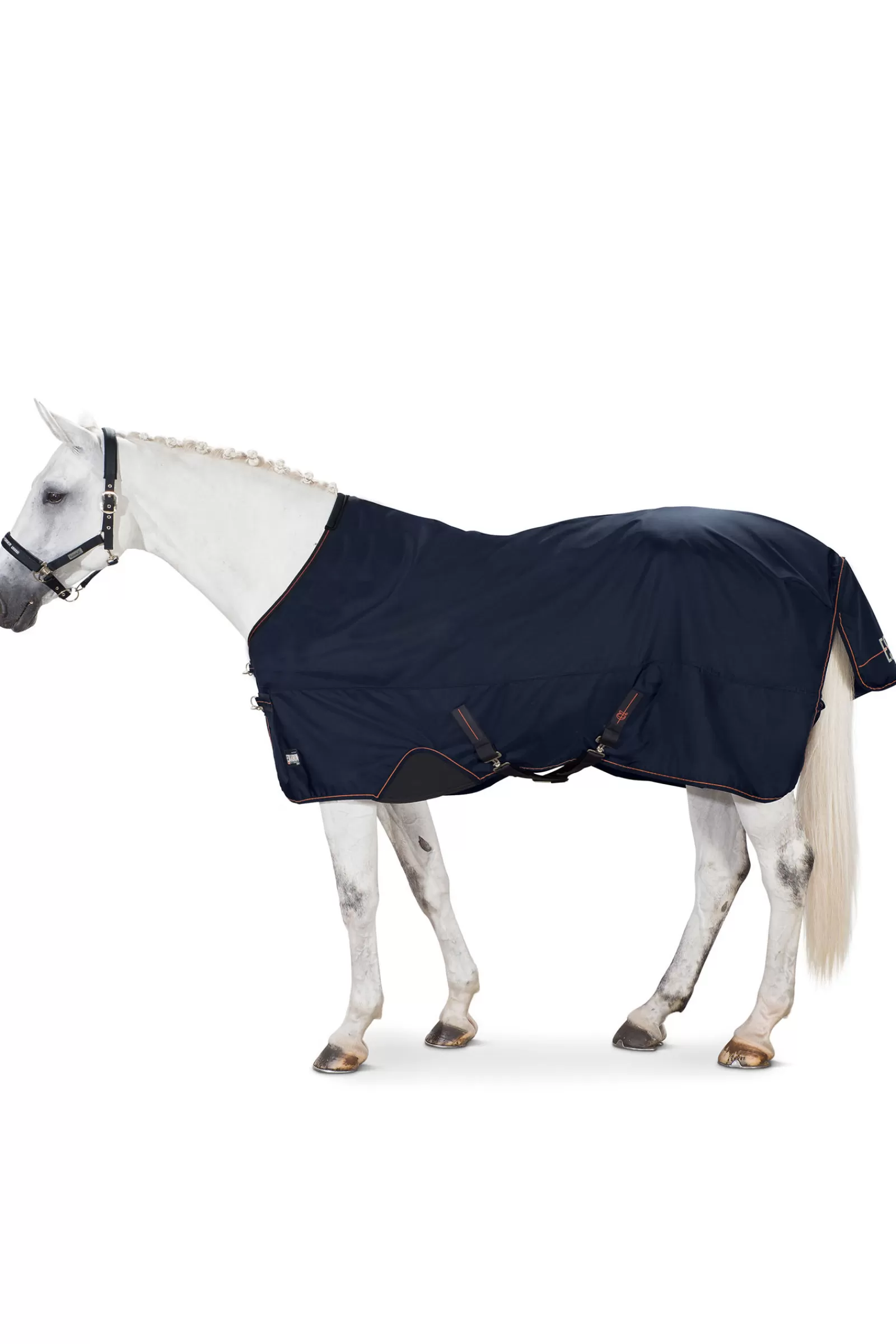 Alpha Turnout Rug, 350G>eskadron Sale