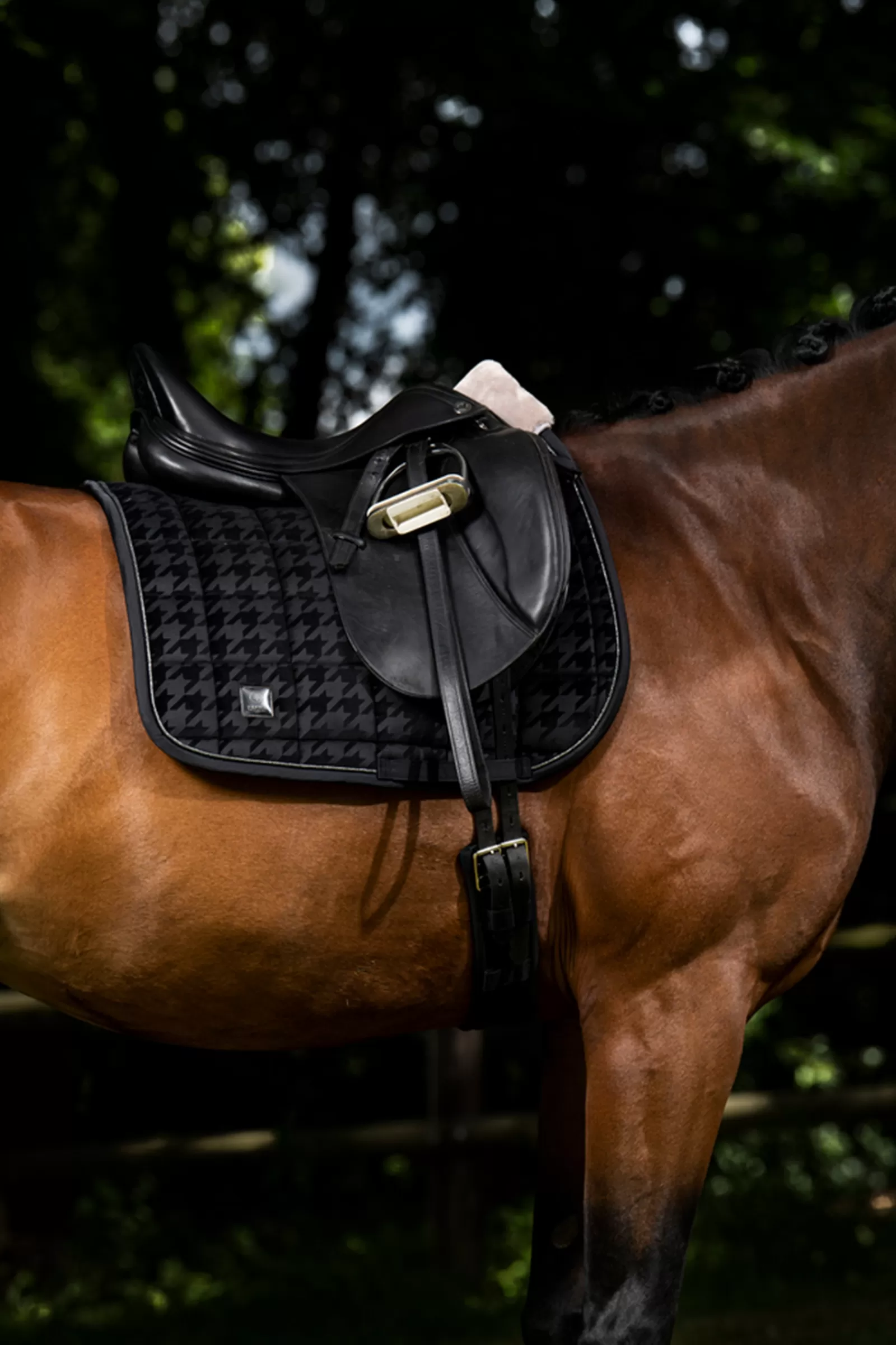 eskadron Dressursjabraker | Essence 22/23 Sottosella Da Dressage In Raso Con Stampa Black