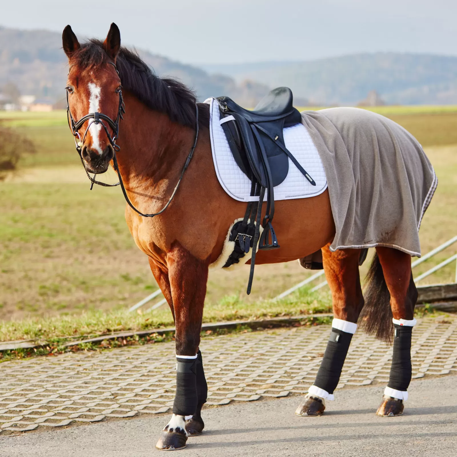 * Sottofasce Per Cavalli | Fasce Per Le Gambe , Schiena Bianco Sporco