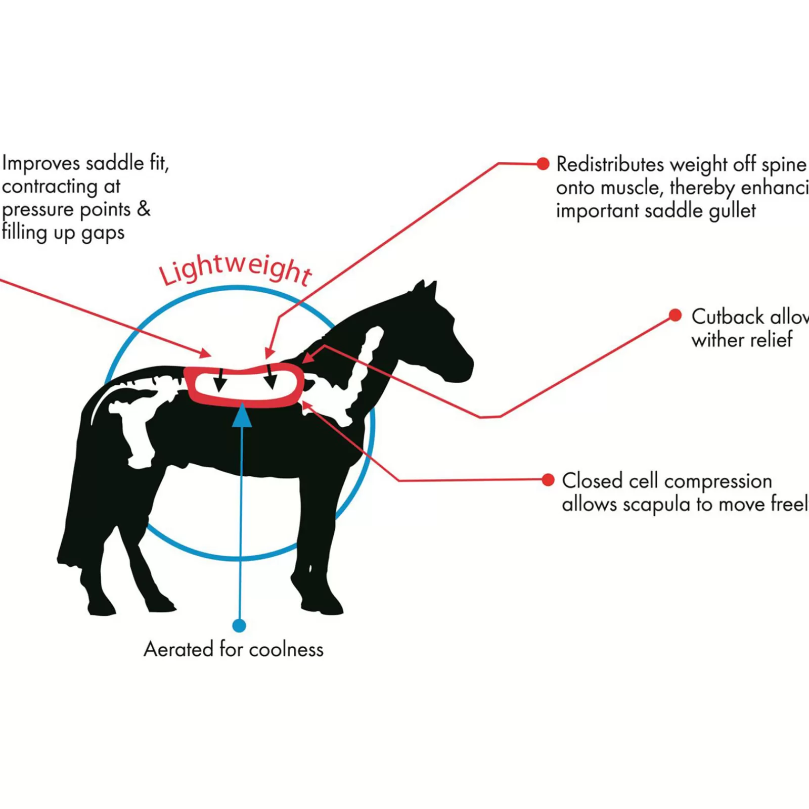 cavallohorseriderfr Alzapaletta/Salvagarrese | F.R.A Cavallo Cuscinetto Per Sella A Cuneo Inglese Tsp#609 Wh/Ab