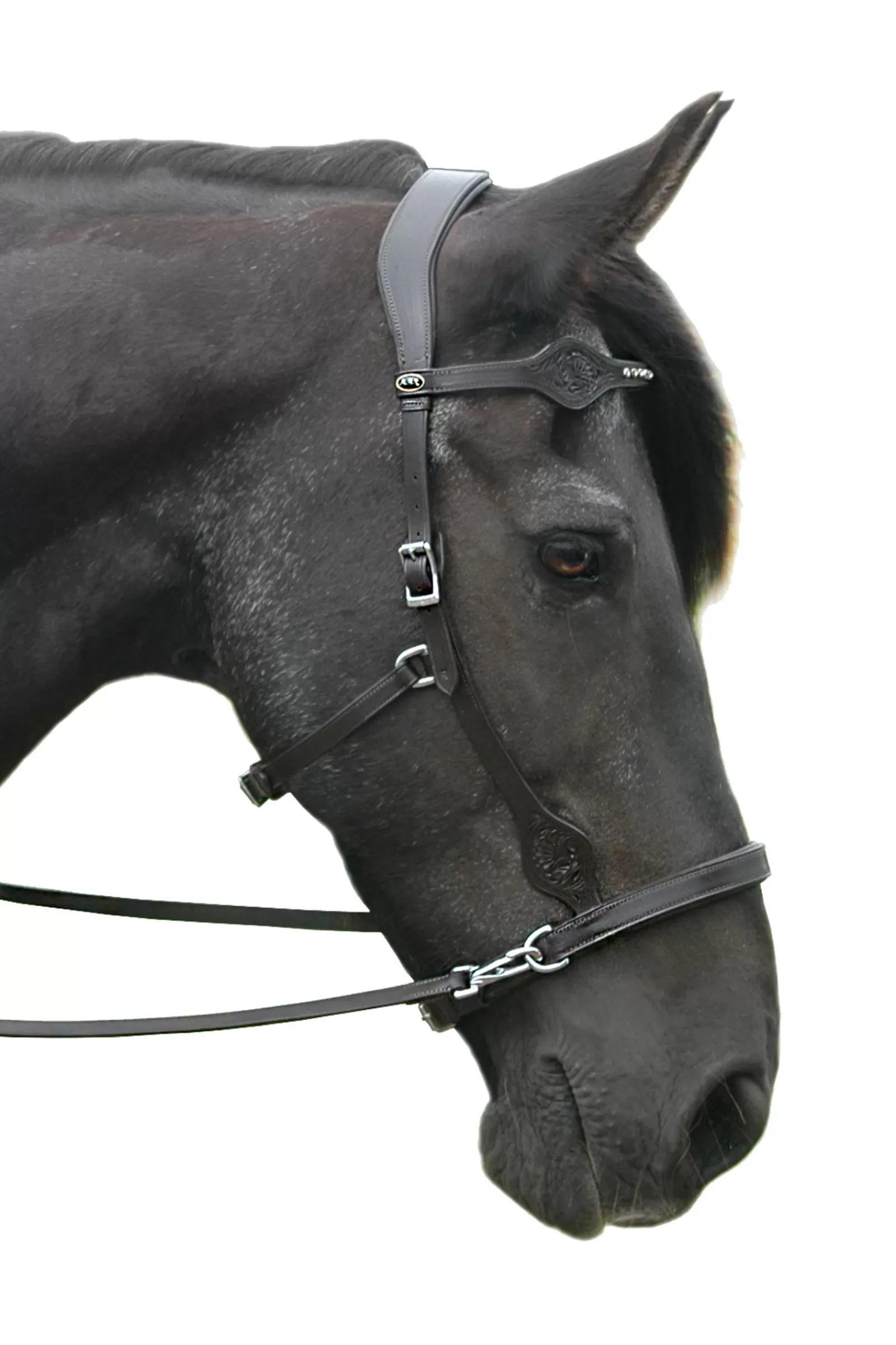 fra Briglie E Chiudibocca | Dandy Sidepull (System 3) Pelle, Con Redini A Clip In Pelle Black