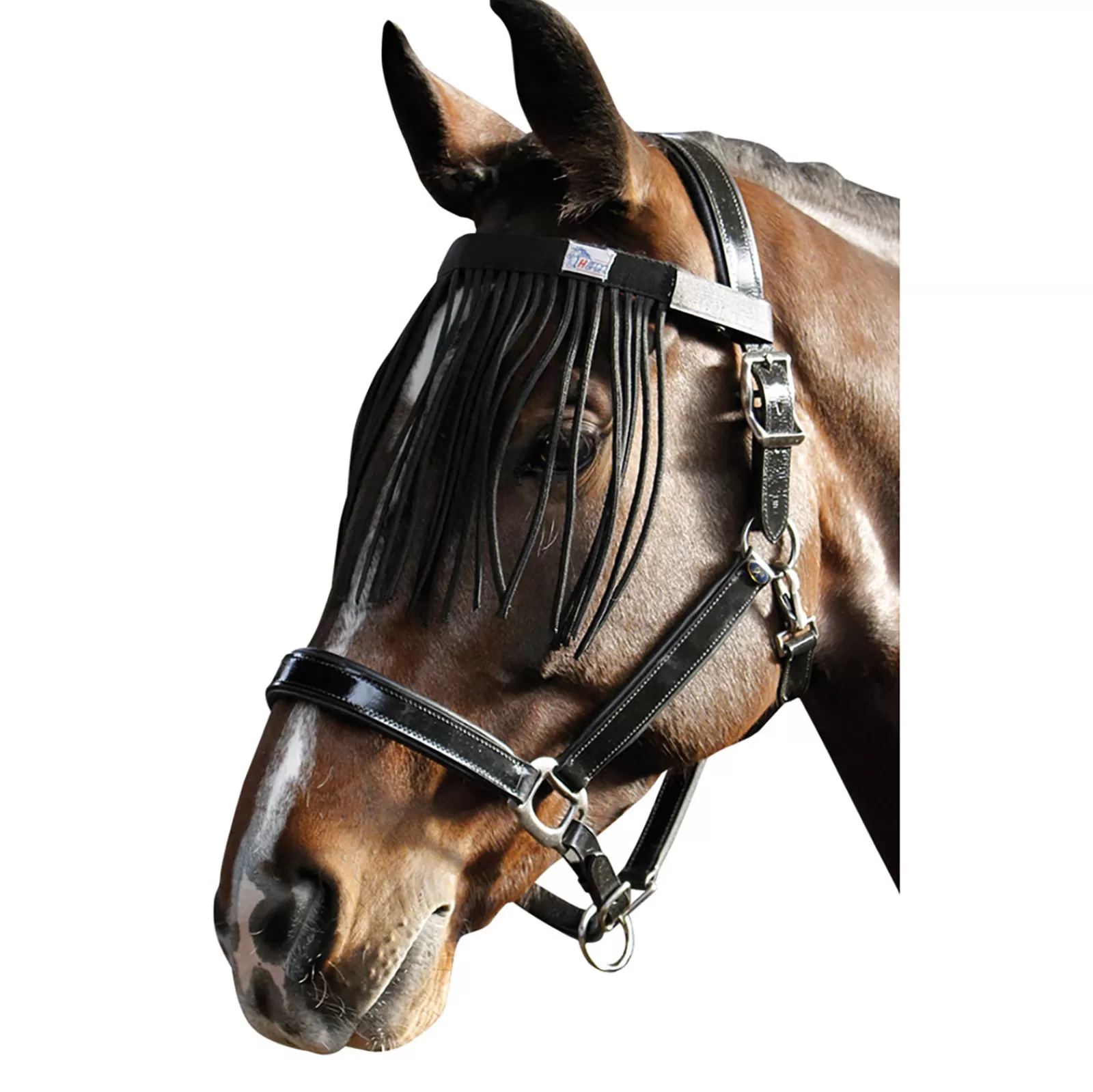 Frontalino Harry'S Horse Fly Fringe>harryshorse Hot