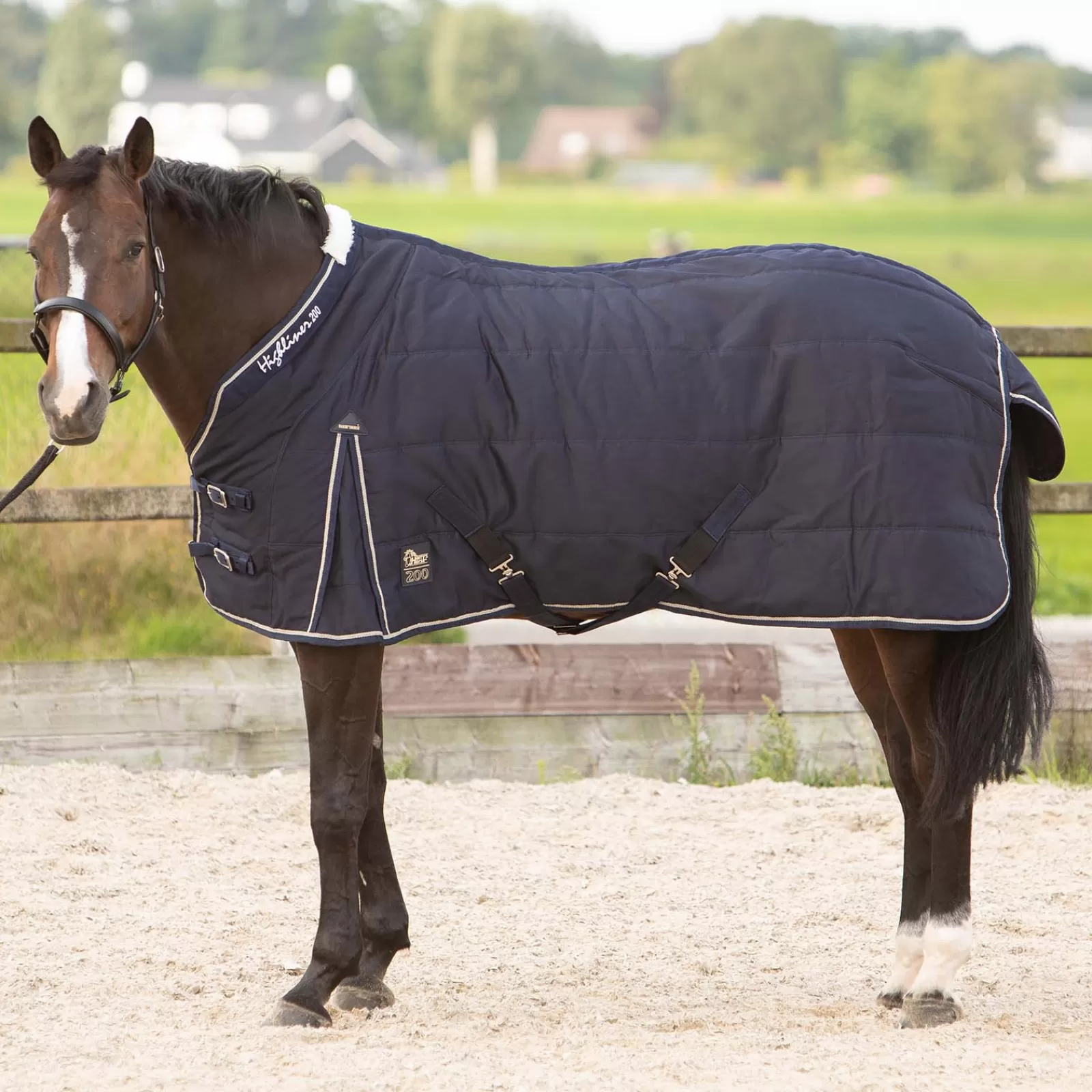 Harry'S Horse Highliner Coperta Da Scuderia, 200 G>harryshorse Discount