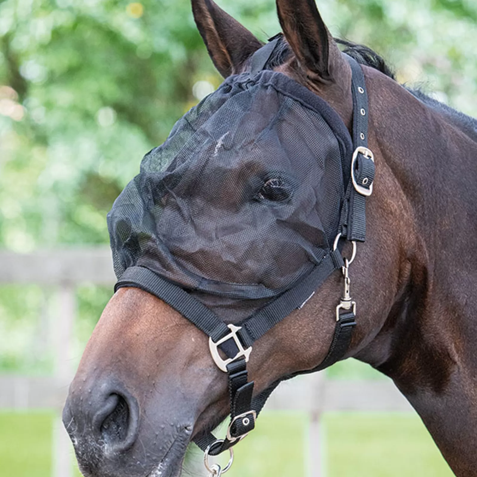 Headcollar Con Maschera Antimosche Di Cavallo Di Harry>harryshorse Cheap