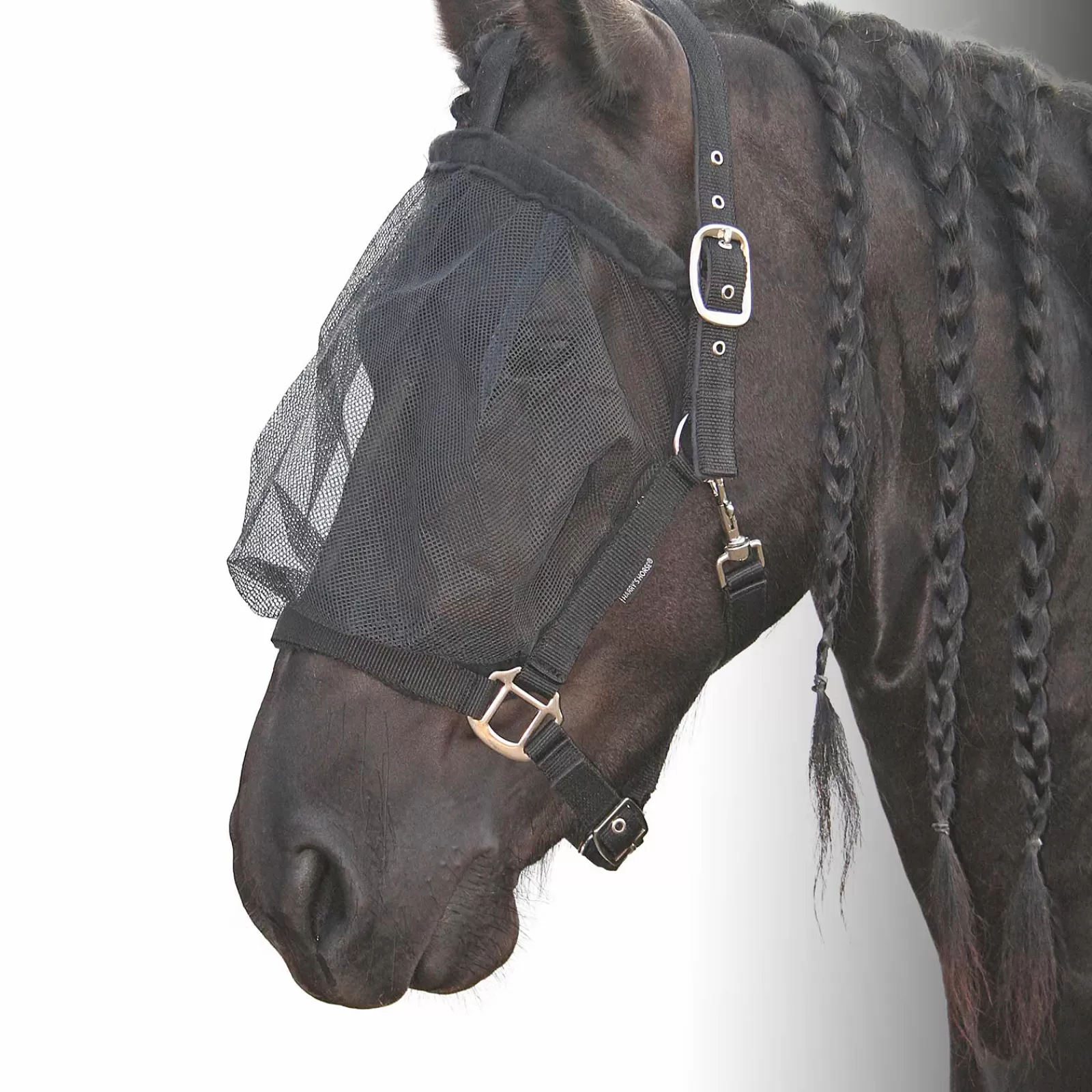 Headcollar Con Maschera Antimosche Di Cavallo Di Harry>harryshorse Cheap