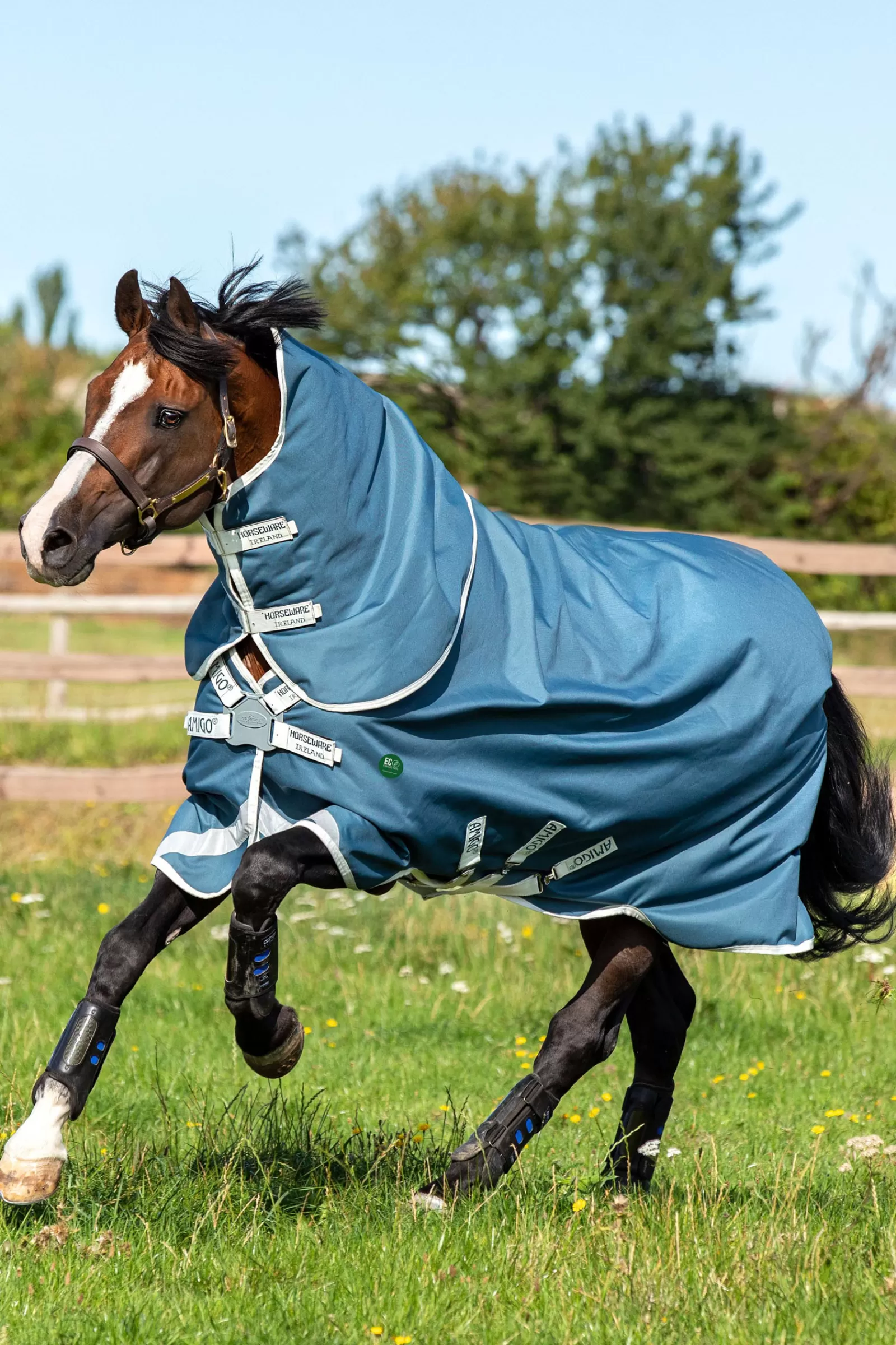 Ameco Bravo 12 Plus Coperta Da Turnout Con Collo Rimovibile, 100 Gr>horseware Store