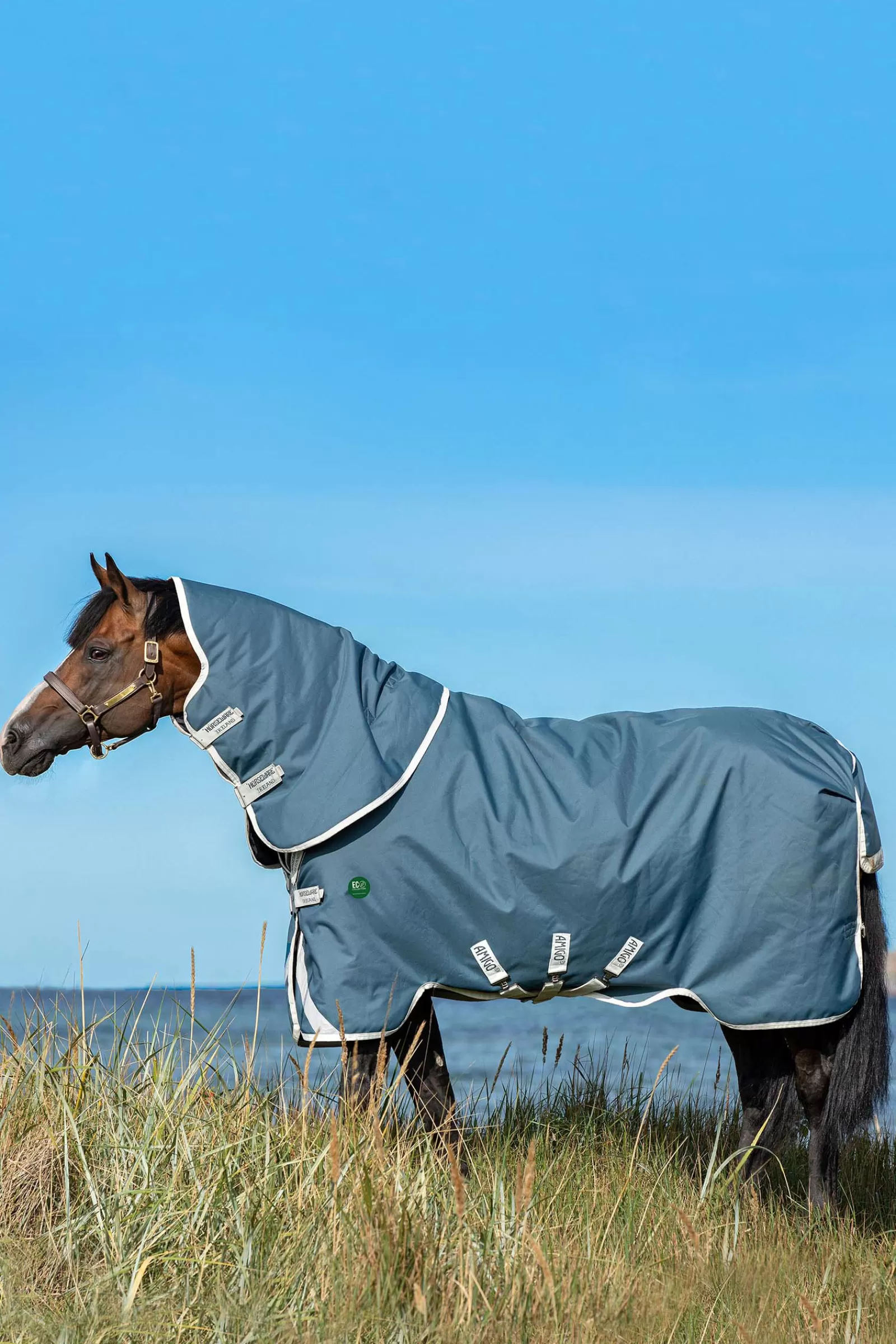 Ameco Bravo 12 Plus Coperta Da Turnout Con Collo Rimovibile, 100 Gr>horseware Store