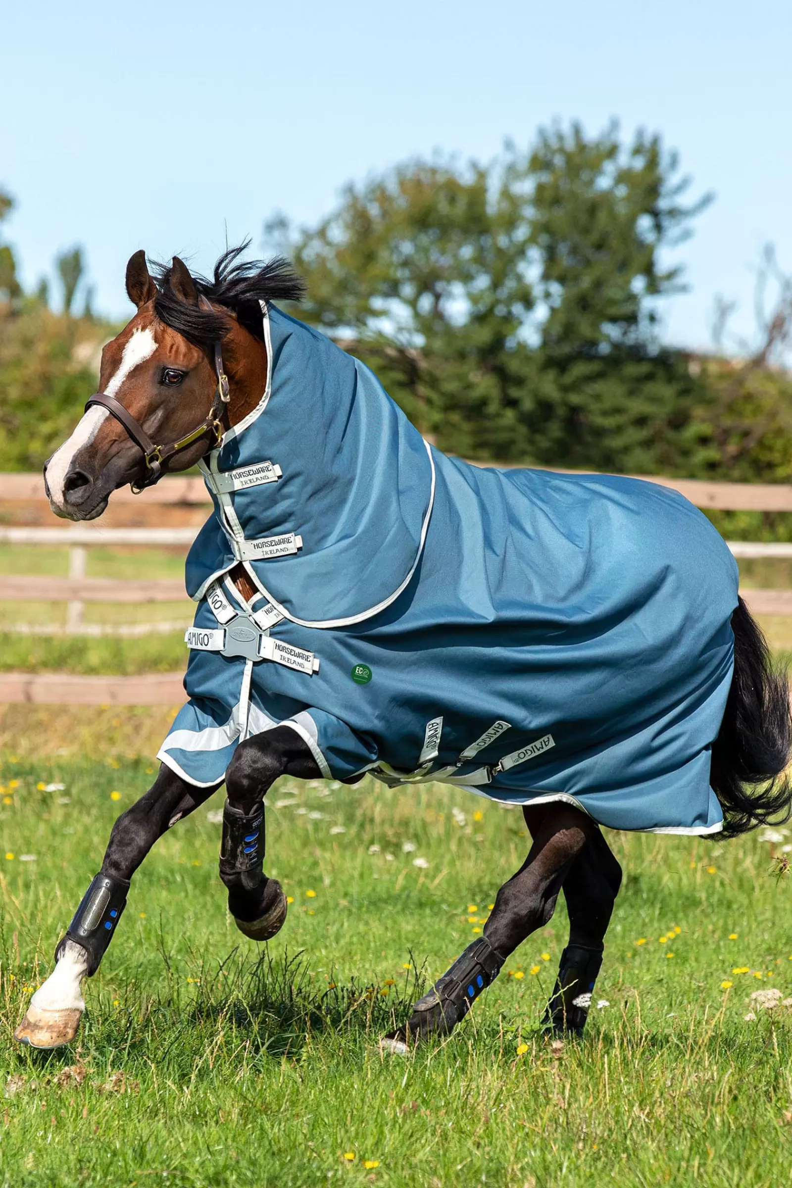 Ameco Bravo 12 Plus Coperta Da Turnout Con Collo Rimovibile, 100 Gr>horseware Store
